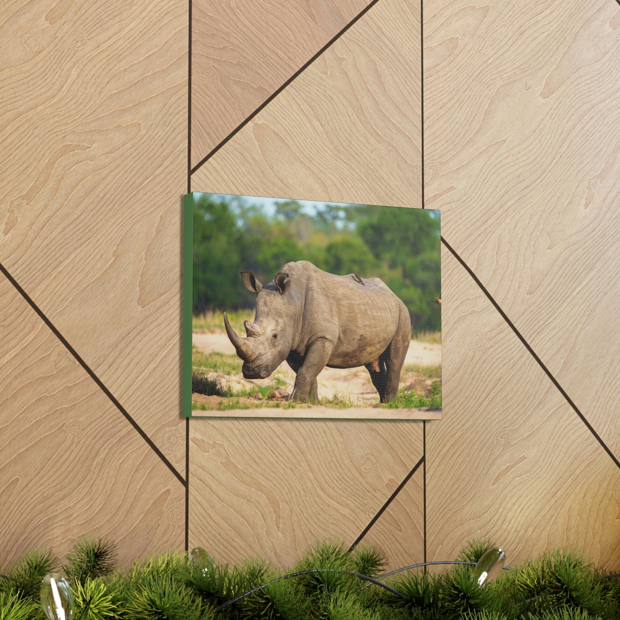 Scripture Walls Majestic Rhinoceros Art Majestic Rhinoceros Print Animal Wall Art Wildlife Canvas Prints Wall Art Ready to Hang Unframed-Express Your Love Gifts