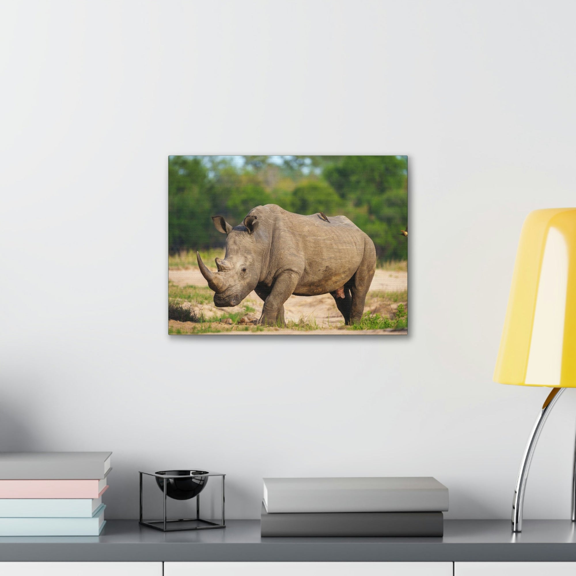 Scripture Walls Majestic Rhinoceros Art Majestic Rhinoceros Print Animal Wall Art Wildlife Canvas Prints Wall Art Ready to Hang Unframed-Express Your Love Gifts