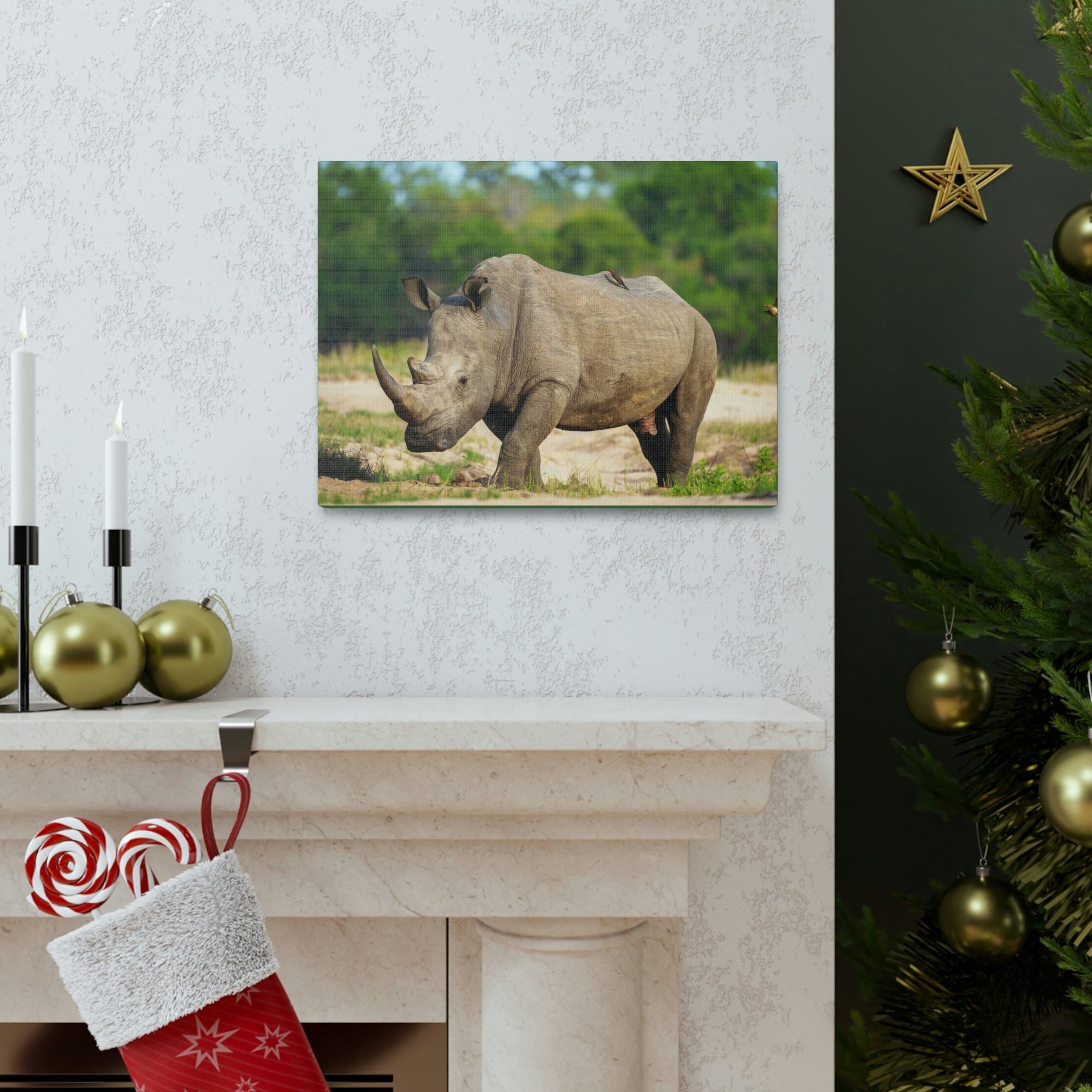 Scripture Walls Majestic Rhinoceros Art Majestic Rhinoceros Print Animal Wall Art Wildlife Canvas Prints Wall Art Ready to Hang Unframed-Express Your Love Gifts