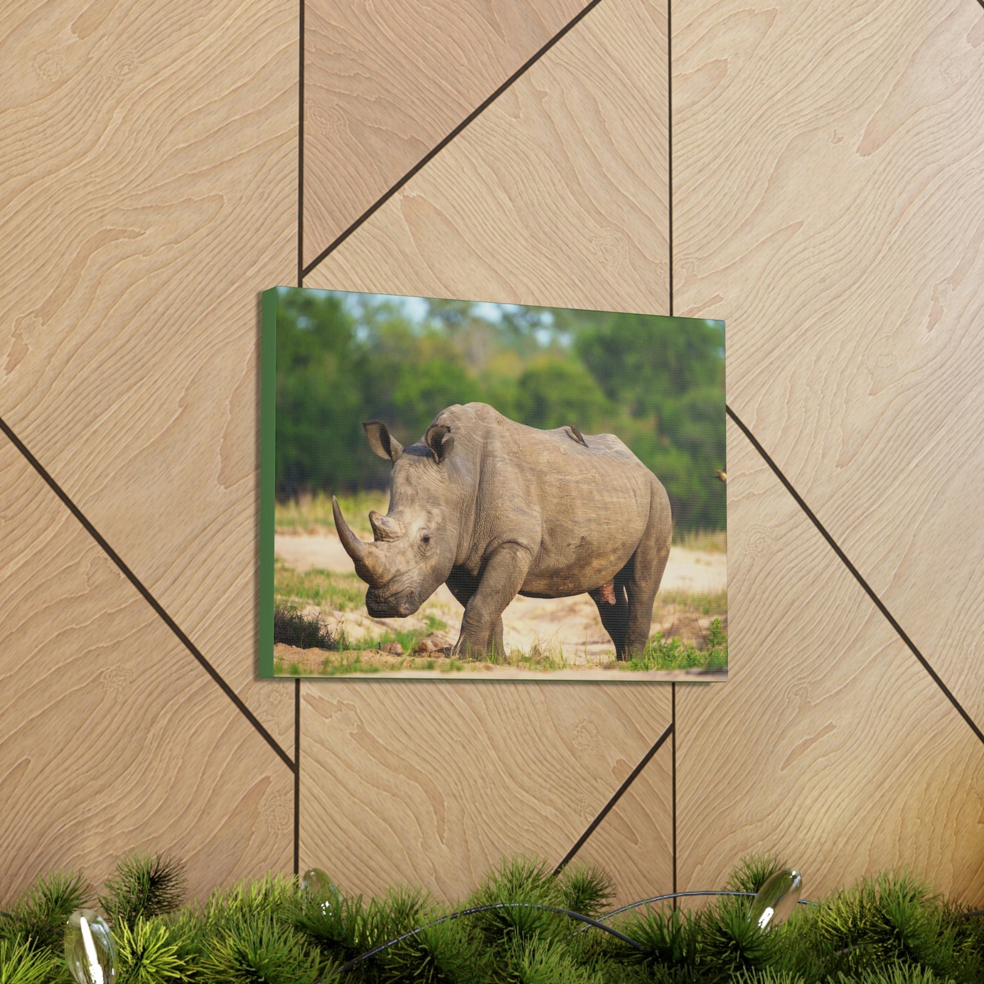 Scripture Walls Majestic Rhinoceros Art Majestic Rhinoceros Print Animal Wall Art Wildlife Canvas Prints Wall Art Ready to Hang Unframed-Express Your Love Gifts