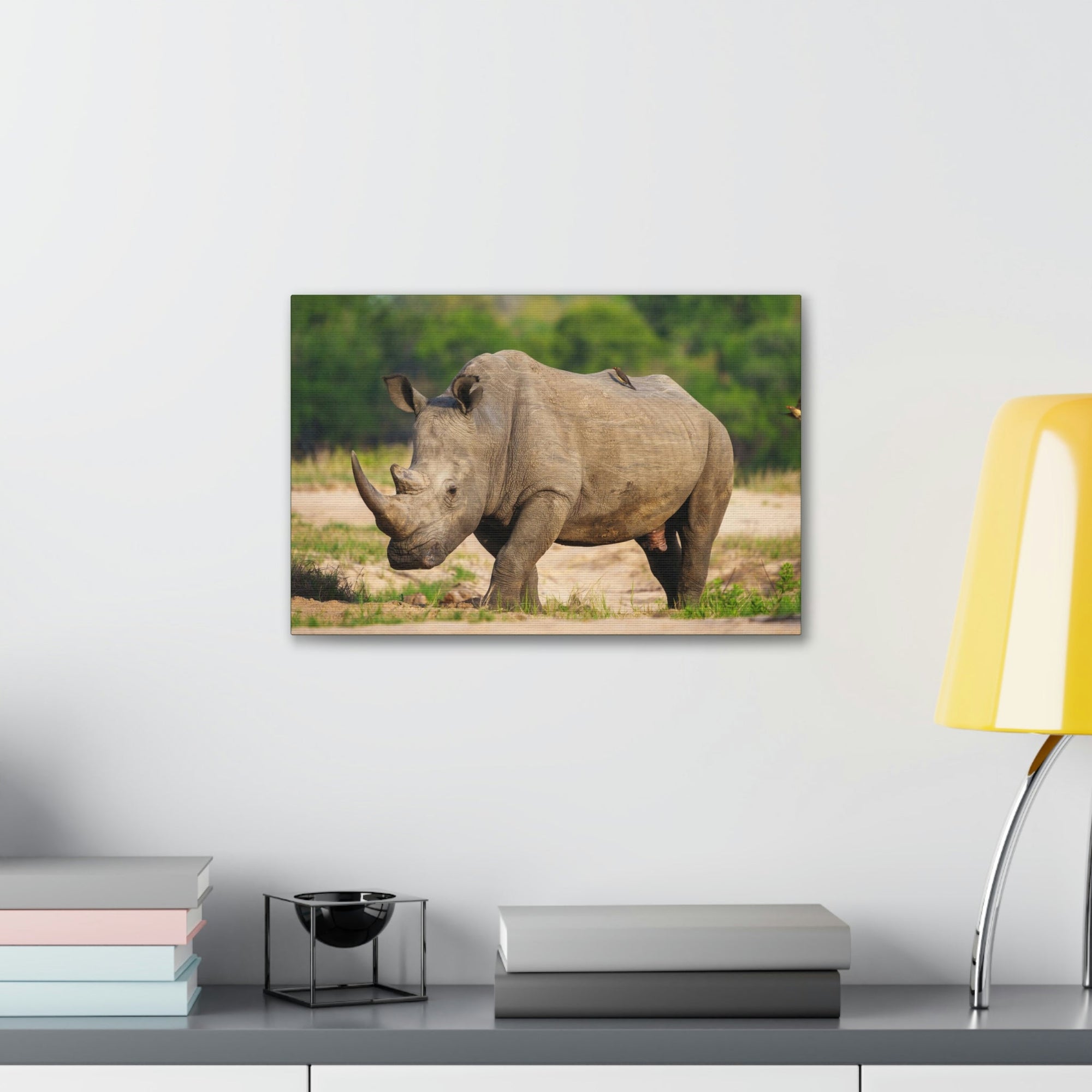 Scripture Walls Majestic Rhinoceros Art Majestic Rhinoceros Print Animal Wall Art Wildlife Canvas Prints Wall Art Ready to Hang Unframed-Express Your Love Gifts