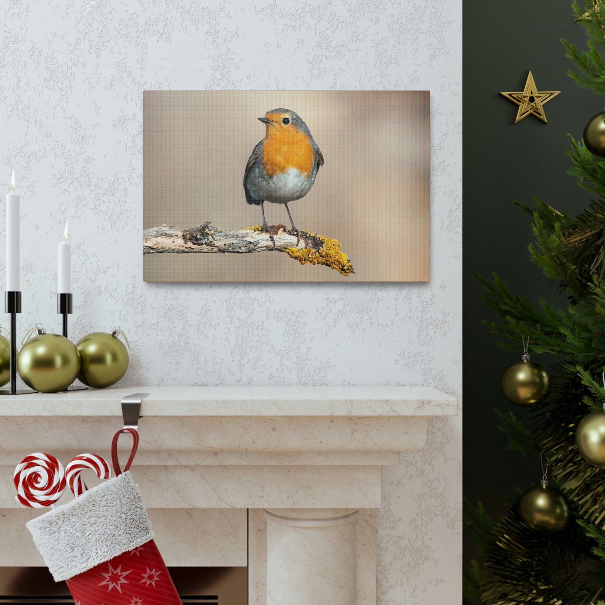 Scripture Walls Majestic Robin Art Majestic Robin Print Animal Wall Art Wildlife Canvas Prints Wall Art Ready to Hang Unframed-Express Your Love Gifts