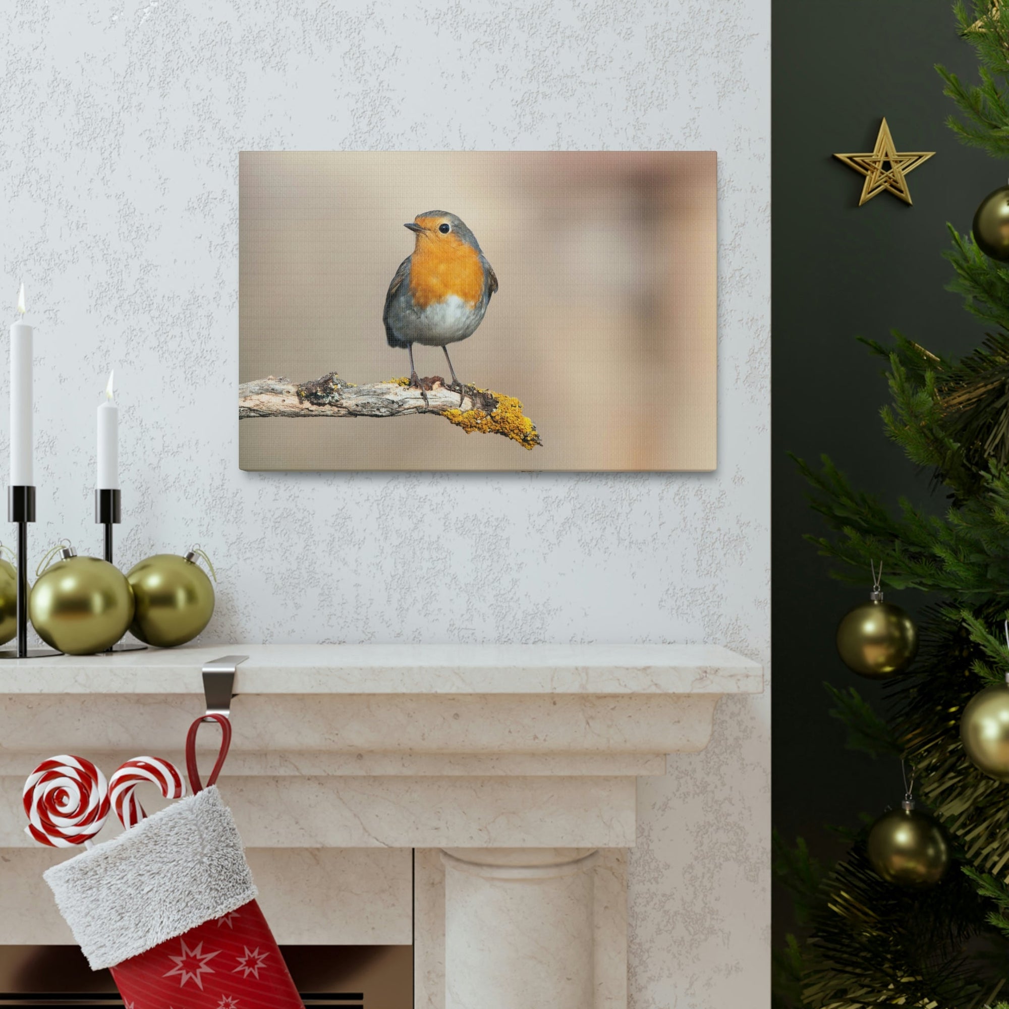 Scripture Walls Majestic Robin Art Majestic Robin Satanding on a Branch Print Animal Wall Art Wildlife Canvas Prints Wall Art Ready to Hang Unframed-Express Your Love Gifts