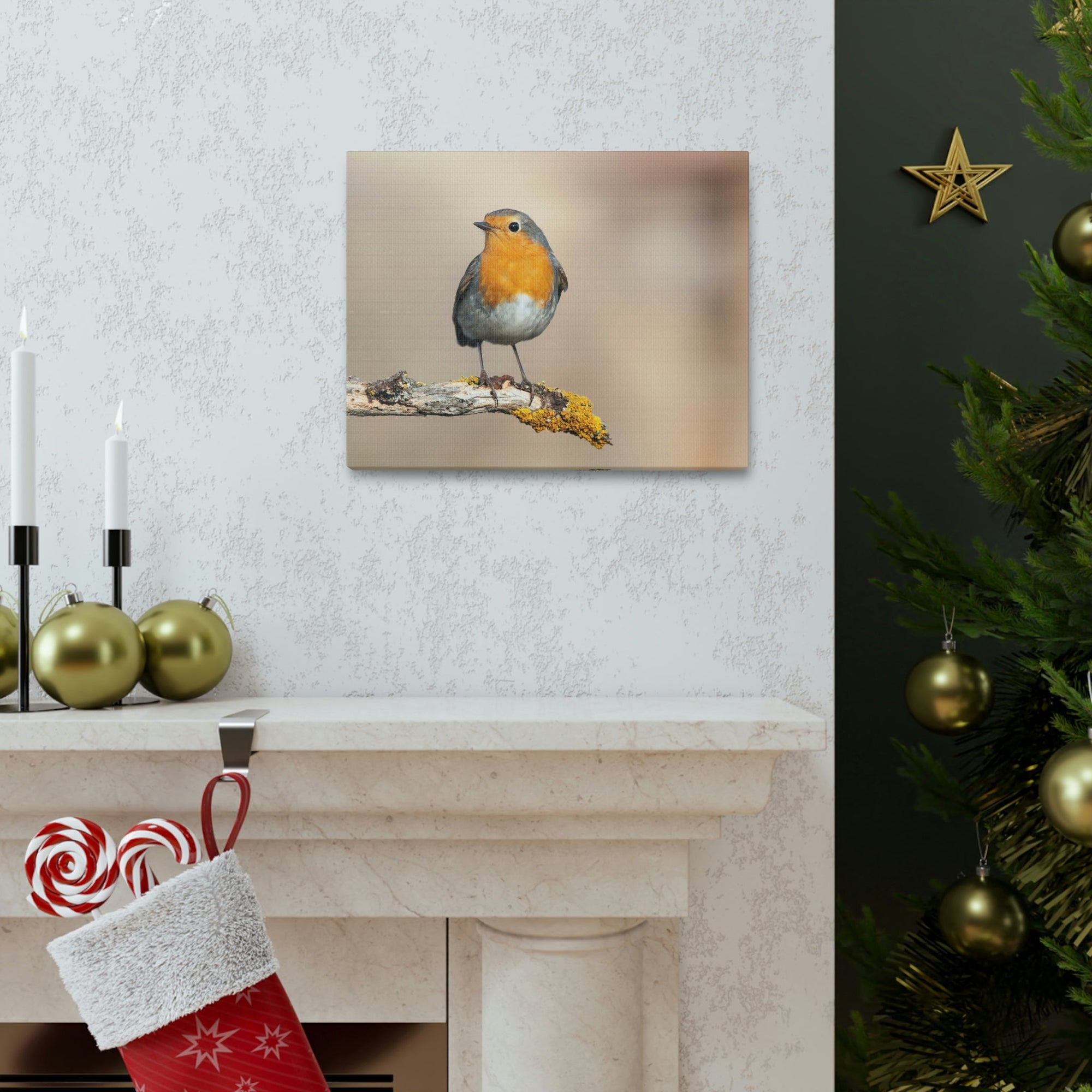 Scripture Walls Majestic Robin Art Majestic Robin Satanding on a Branch Print Animal Wall Art Wildlife Canvas Prints Wall Art Ready to Hang Unframed-Express Your Love Gifts