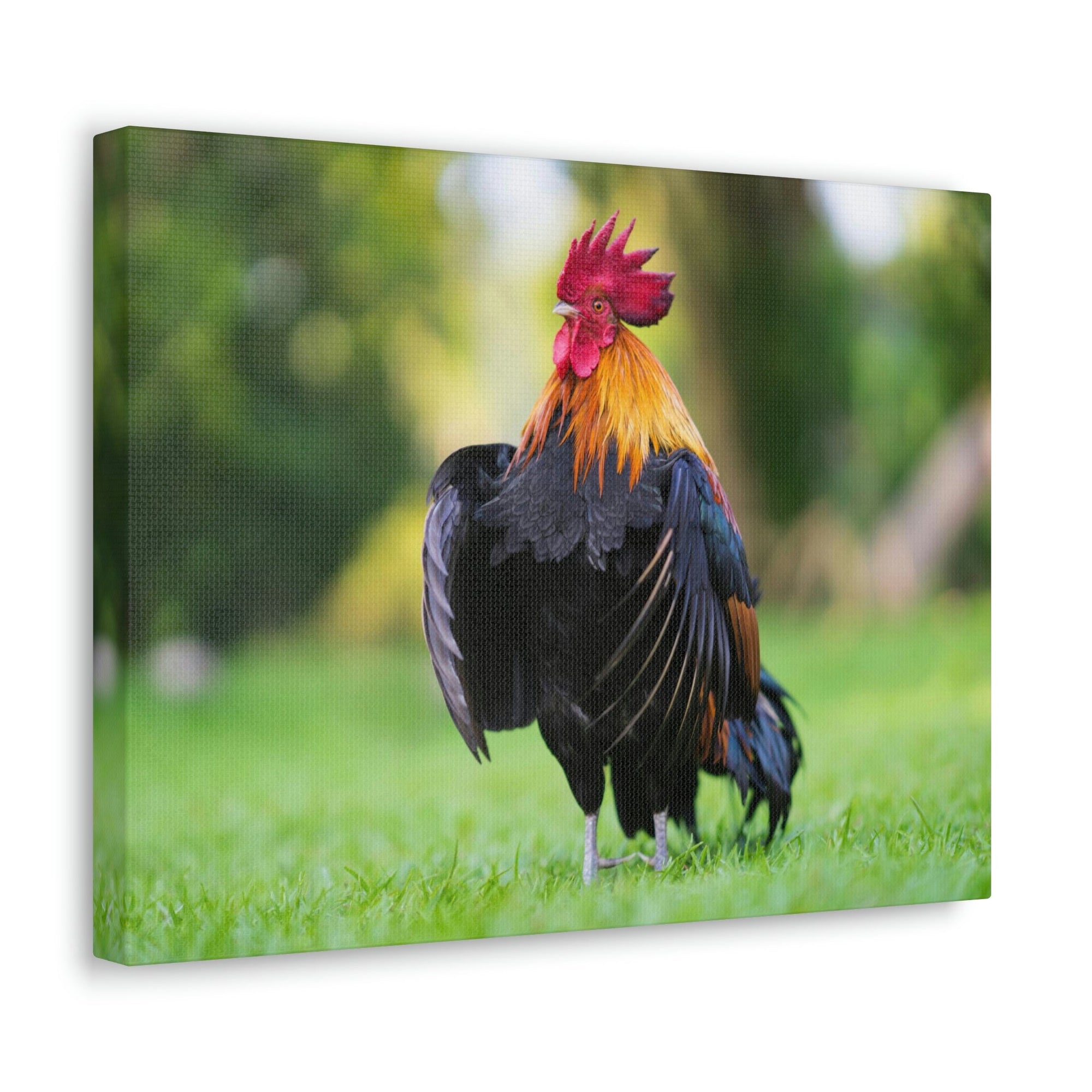 Scripture Walls Majestic Rooster Art Majestic Rooster Print Animal Wall Art Wildlife Canvas Prints Wall Art Ready to Hang Unframed-Express Your Love Gifts