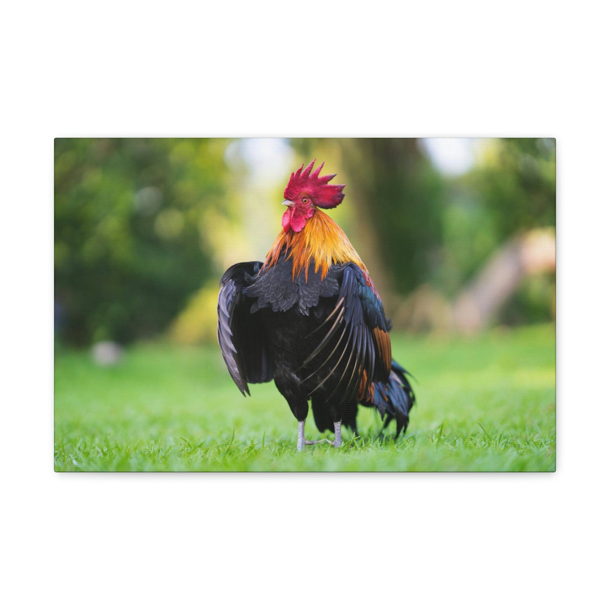 Scripture Walls Majestic Rooster Art Majestic Rooster Print Animal Wall Art Wildlife Canvas Prints Wall Art Ready to Hang Unframed-Express Your Love Gifts