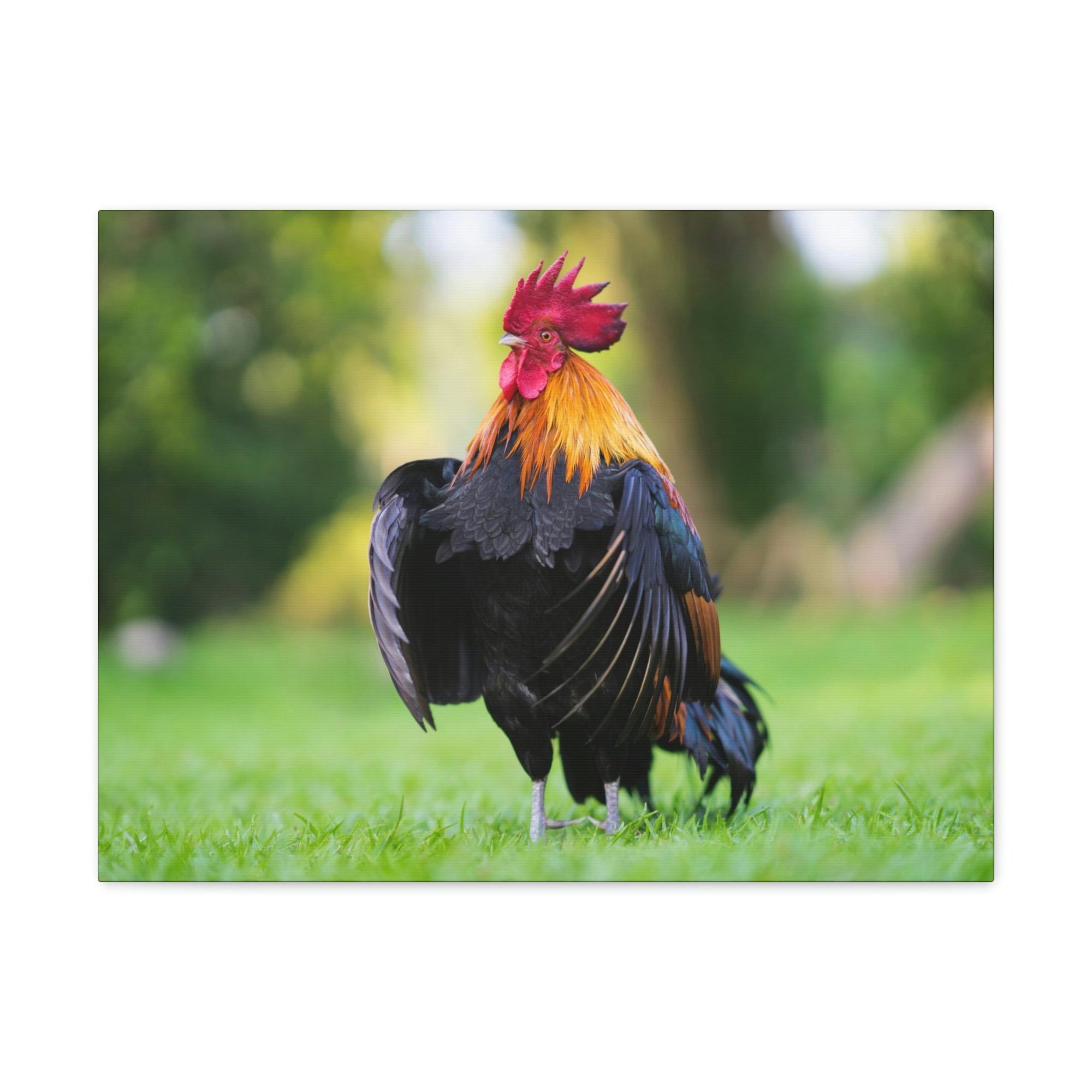 Scripture Walls Majestic Rooster Art Majestic Rooster Print Animal Wall Art Wildlife Canvas Prints Wall Art Ready to Hang Unframed-Express Your Love Gifts