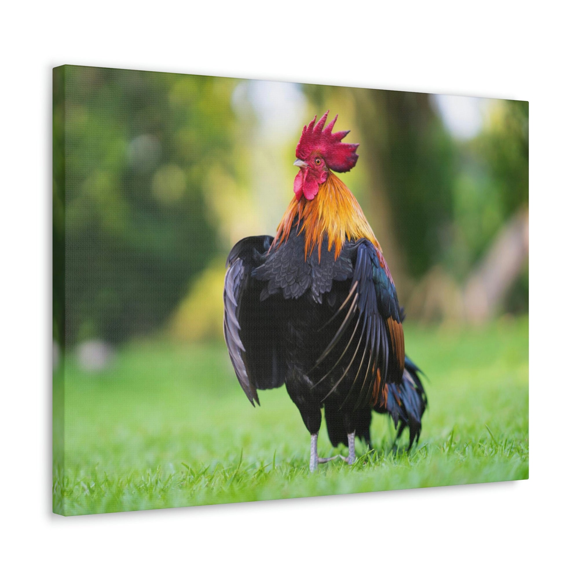 Scripture Walls Majestic Rooster Art Majestic Rooster Print Animal Wall Art Wildlife Canvas Prints Wall Art Ready to Hang Unframed-Express Your Love Gifts