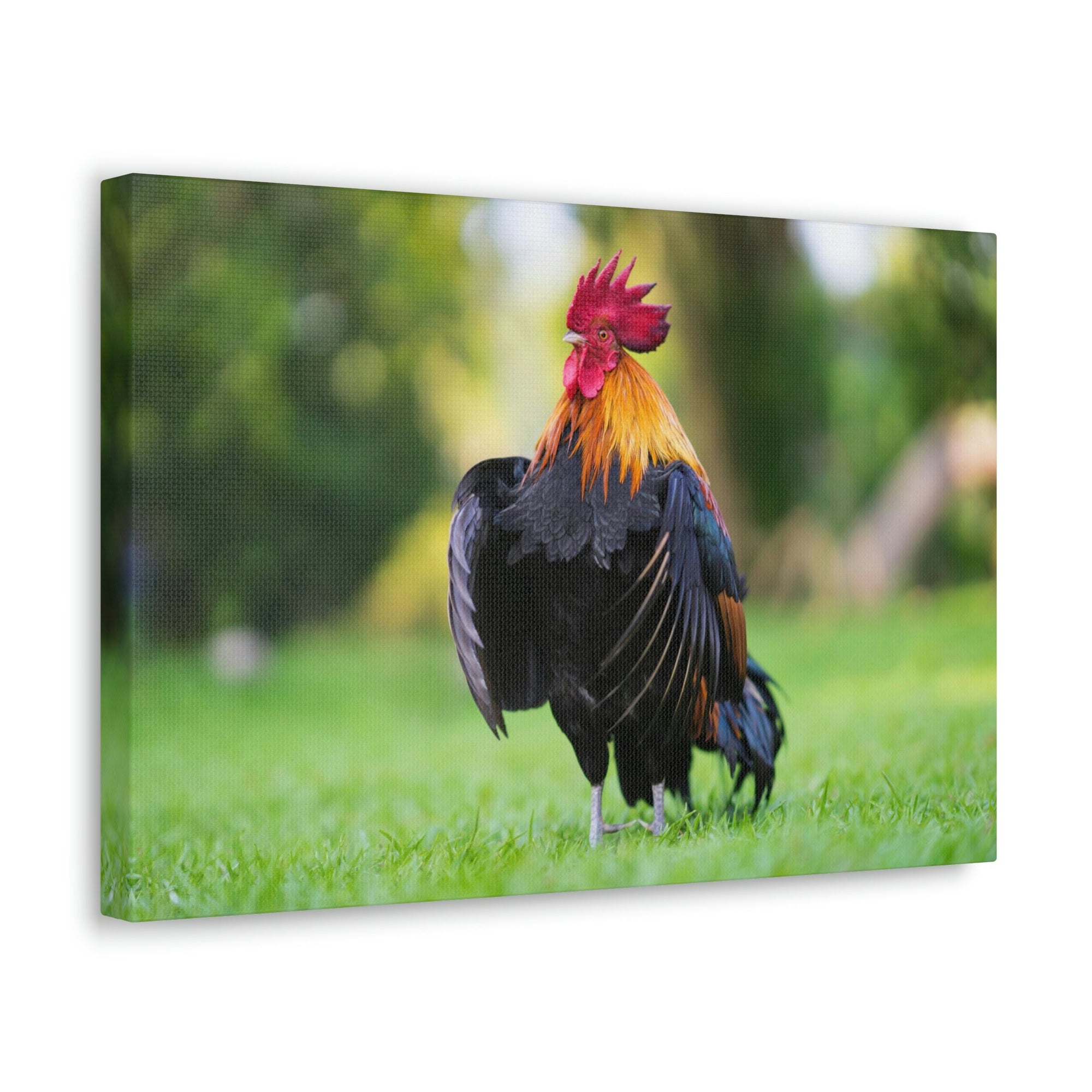 Scripture Walls Majestic Rooster Art Majestic Rooster Print Animal Wall Art Wildlife Canvas Prints Wall Art Ready to Hang Unframed-Express Your Love Gifts