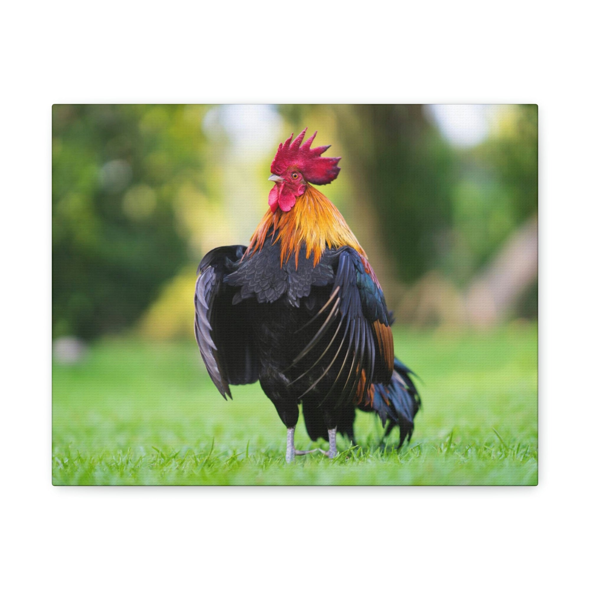 Scripture Walls Majestic Rooster Art Majestic Rooster Print Animal Wall Art Wildlife Canvas Prints Wall Art Ready to Hang Unframed-Express Your Love Gifts