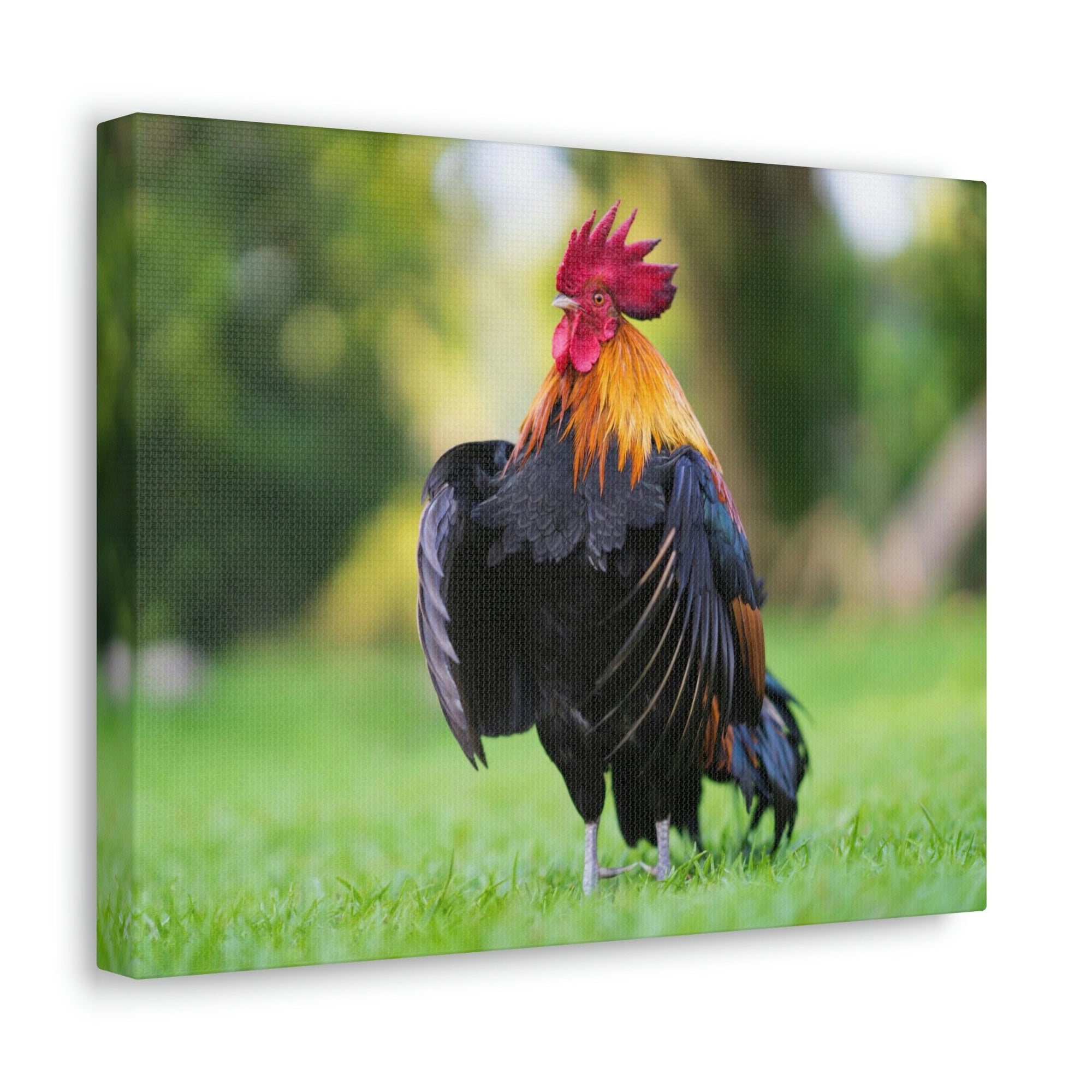 Scripture Walls Majestic Rooster Art Majestic Rooster Print Animal Wall Art Wildlife Canvas Prints Wall Art Ready to Hang Unframed-Express Your Love Gifts