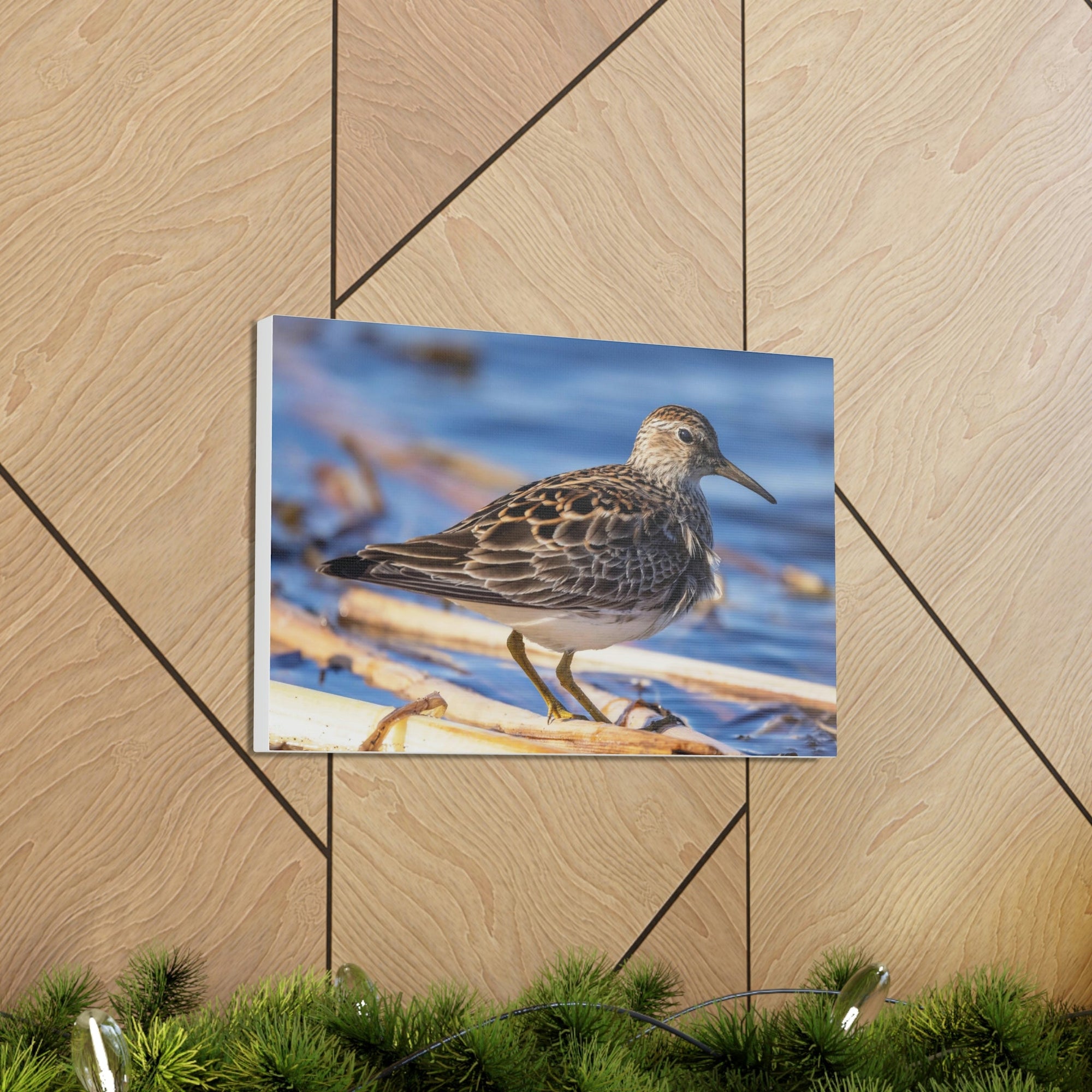 Scripture Walls Majestic Sandpiper Art Majestic Sandpiper Print Animal Wall Art Wildlife Canvas Prints Wall Art Ready to Hang Unframed-Express Your Love Gifts