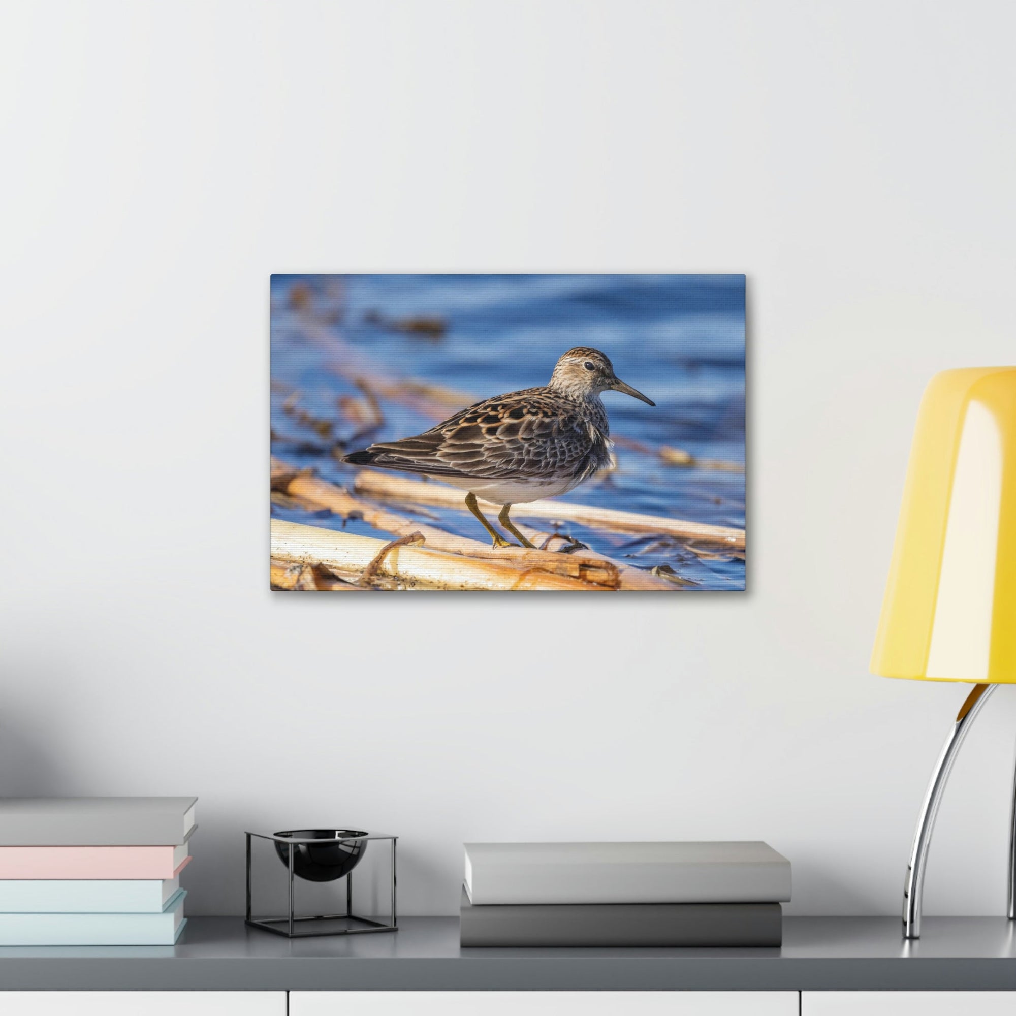 Scripture Walls Majestic Sandpiper at the Edge of a Pond Print Animal Wall Art Wildlife Canvas Prints Wall Art Ready to Hang Unframed-Express Your Love Gifts