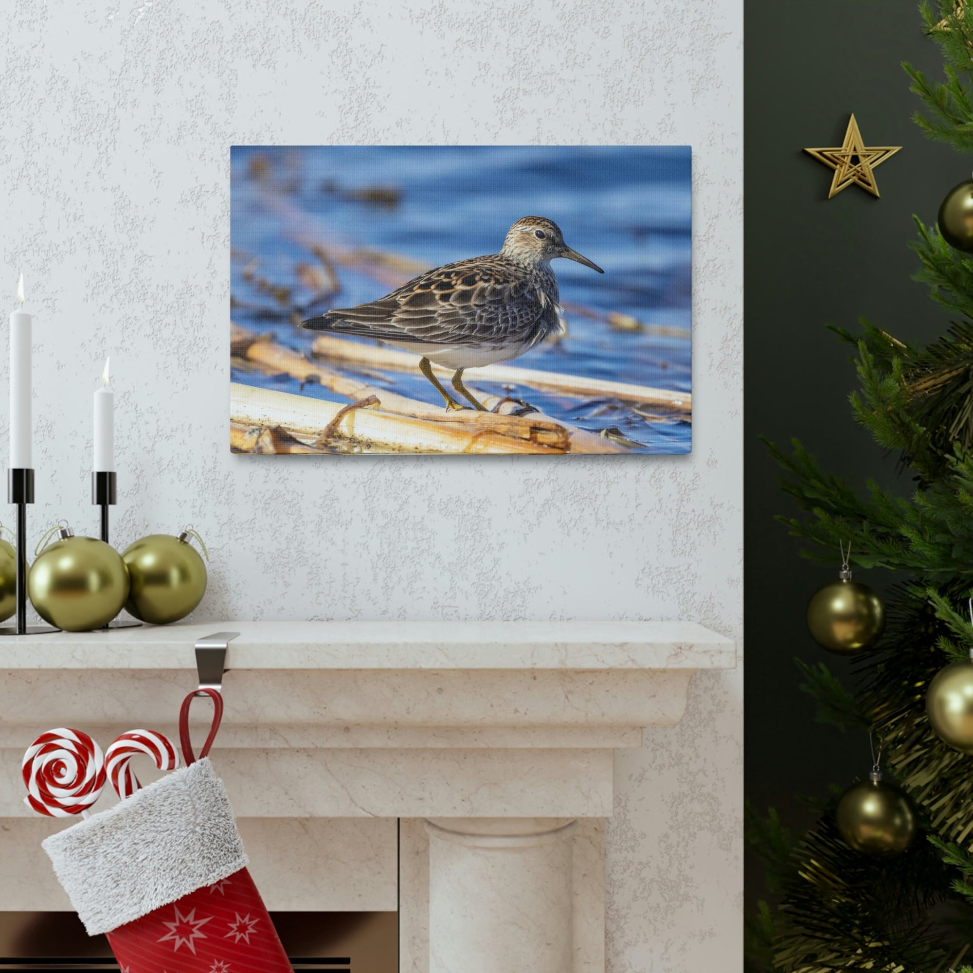 Scripture Walls Majestic Sandpiper at the Edge of a Pond Print Animal Wall Art Wildlife Canvas Prints Wall Art Ready to Hang Unframed-Express Your Love Gifts