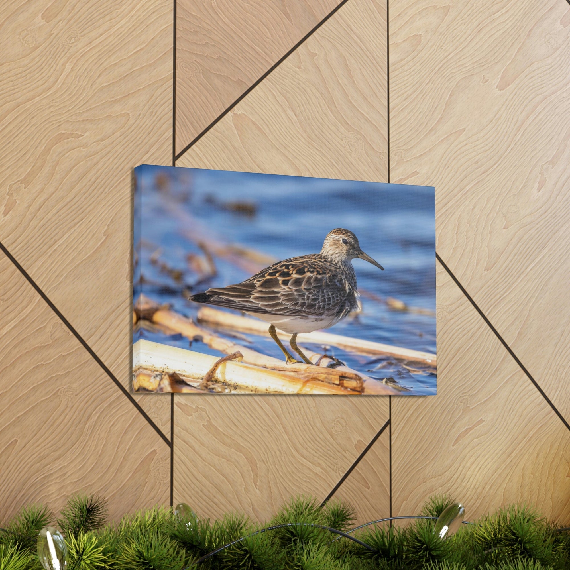 Scripture Walls Majestic Sandpiper at the Edge of a Pond Print Animal Wall Art Wildlife Canvas Prints Wall Art Ready to Hang Unframed-Express Your Love Gifts