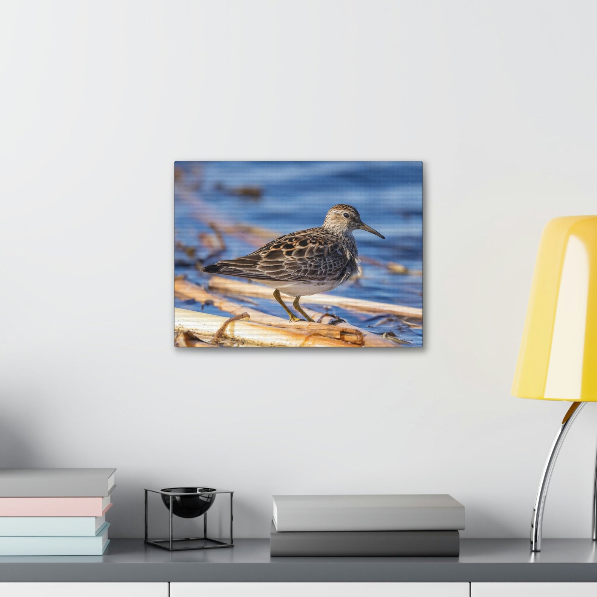 Scripture Walls Majestic Sandpiper at the Edge of a Pond Print Animal Wall Art Wildlife Canvas Prints Wall Art Ready to Hang Unframed-Express Your Love Gifts