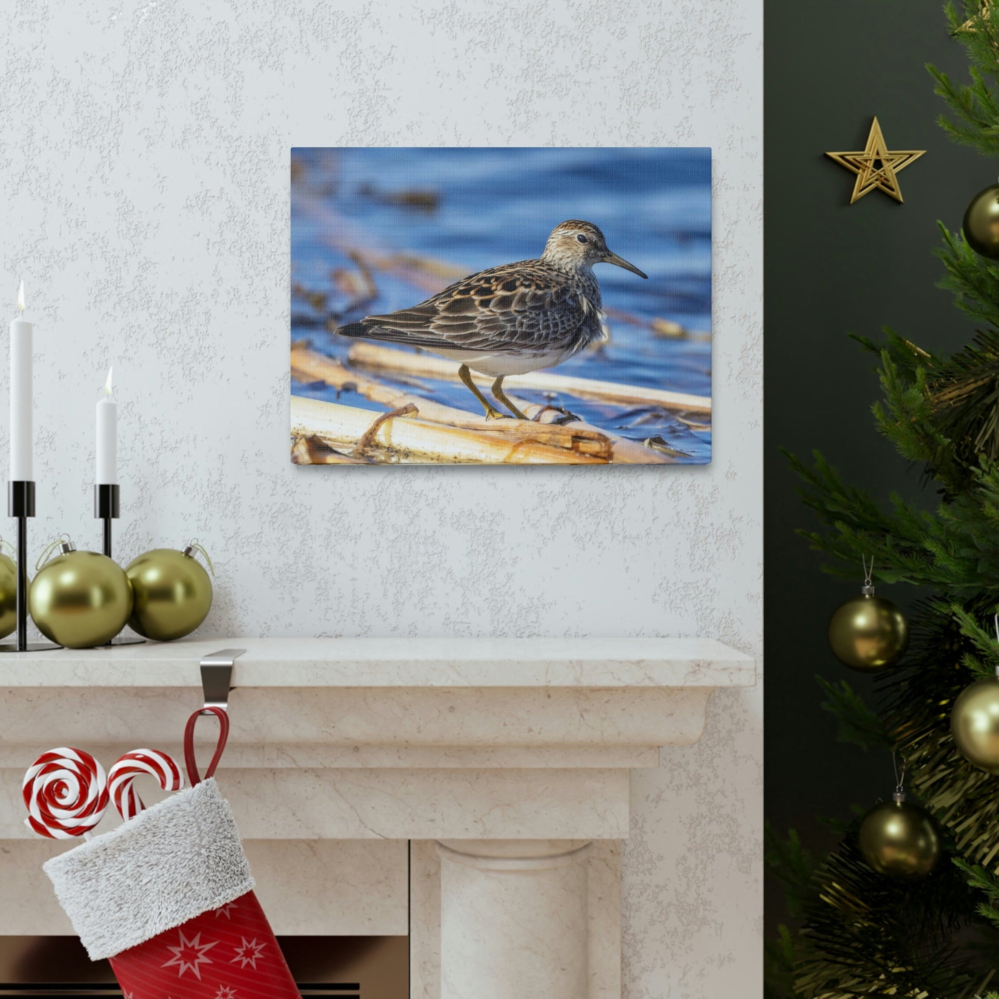 Scripture Walls Majestic Sandpiper at the Edge of a Pond Print Animal Wall Art Wildlife Canvas Prints Wall Art Ready to Hang Unframed-Express Your Love Gifts