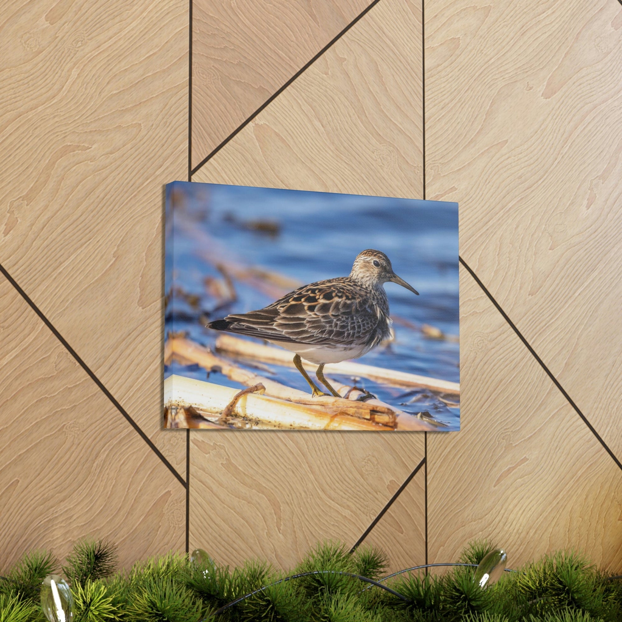 Scripture Walls Majestic Sandpiper at the Edge of a Pond Print Animal Wall Art Wildlife Canvas Prints Wall Art Ready to Hang Unframed-Express Your Love Gifts