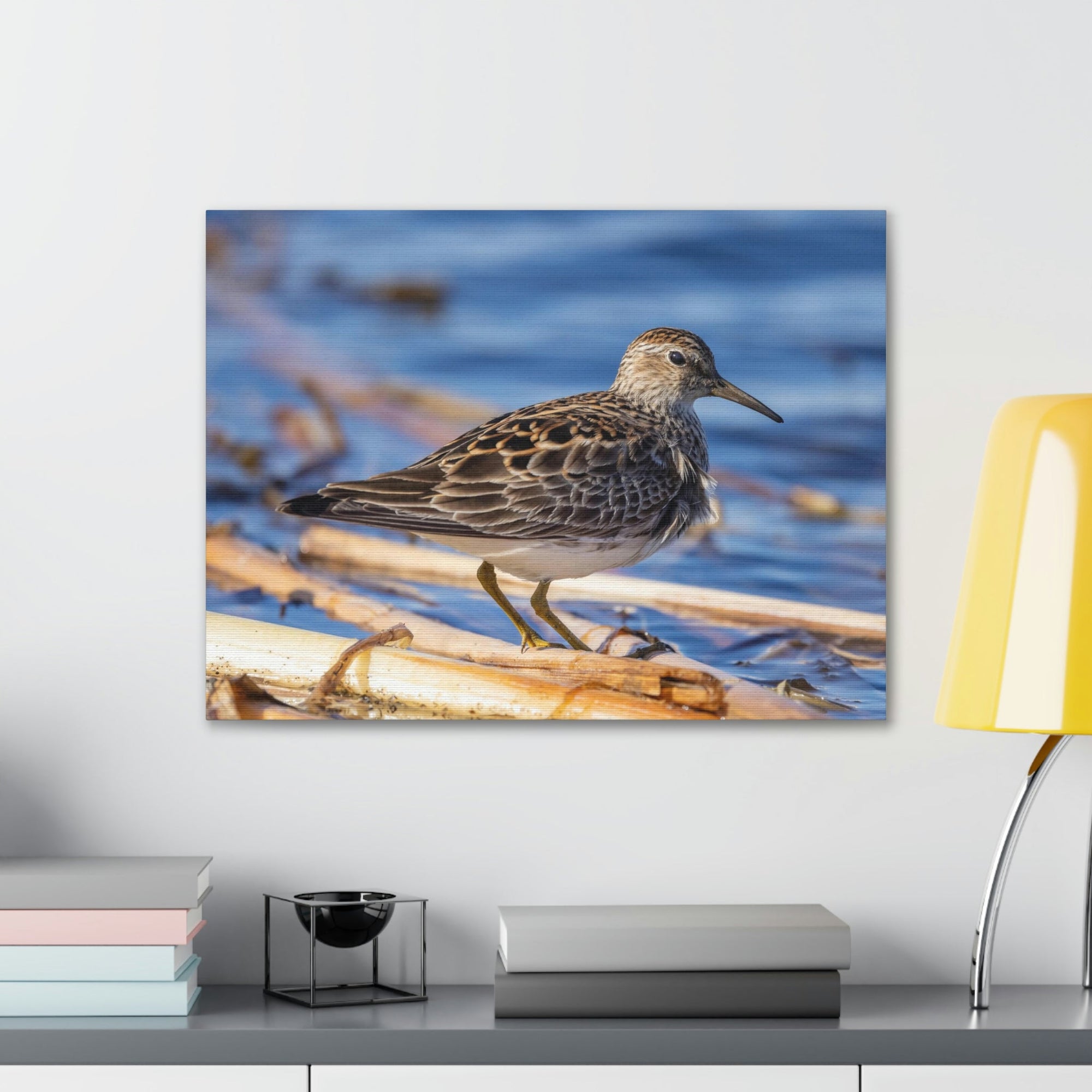 Scripture Walls Majestic Sandpiper at the Edge of a Pond Print Animal Wall Art Wildlife Canvas Prints Wall Art Ready to Hang Unframed-Express Your Love Gifts