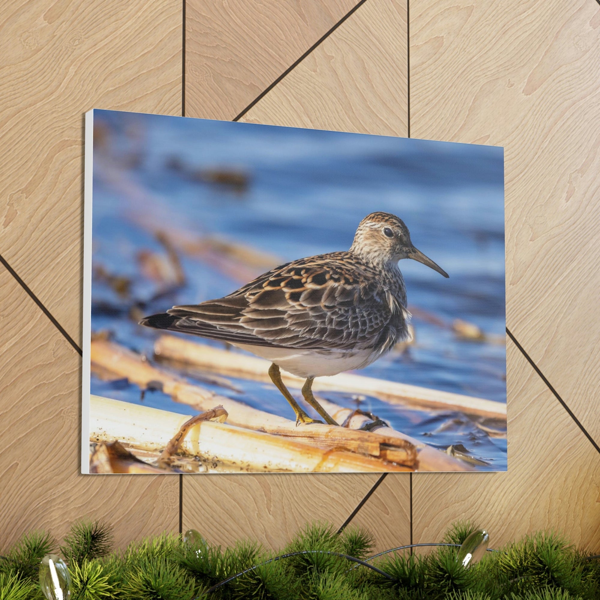 Scripture Walls Majestic Sandpiper at the Edge of a Pond Print Animal Wall Art Wildlife Canvas Prints Wall Art Ready to Hang Unframed-Express Your Love Gifts