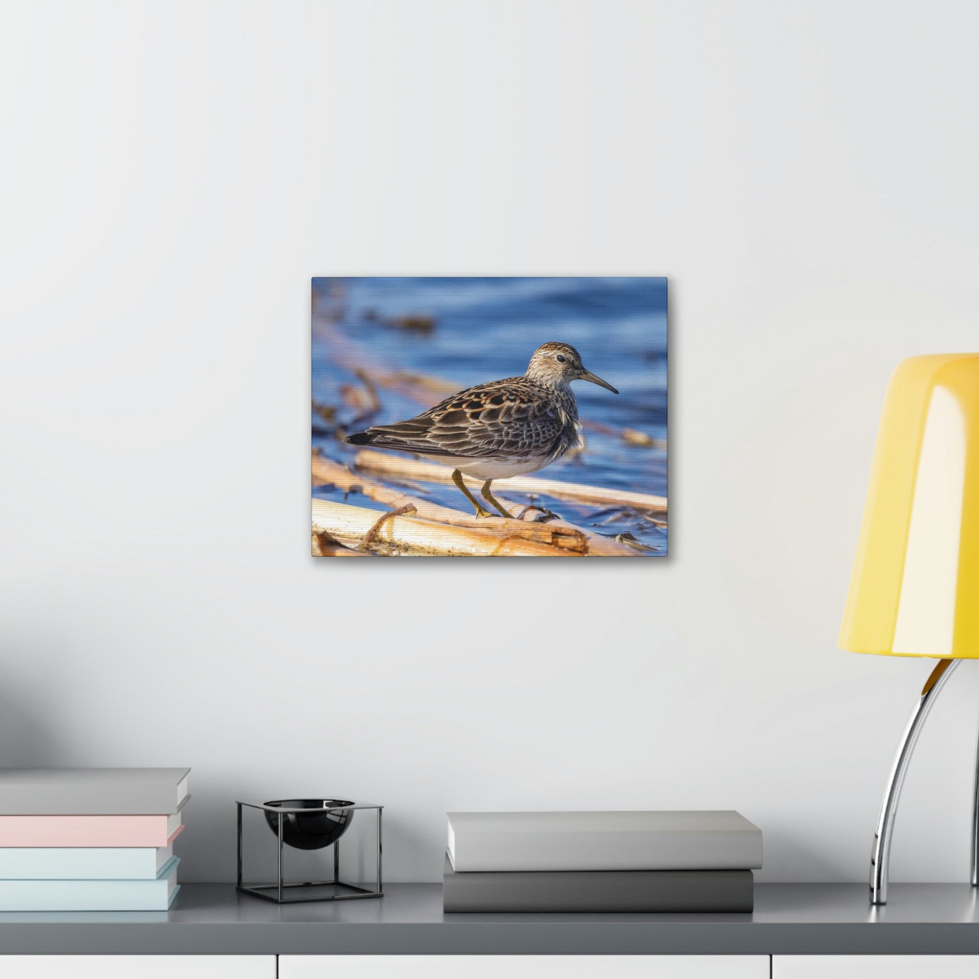 Scripture Walls Majestic Sandpiper at the Edge of a Pond Print Animal Wall Art Wildlife Canvas Prints Wall Art Ready to Hang Unframed-Express Your Love Gifts