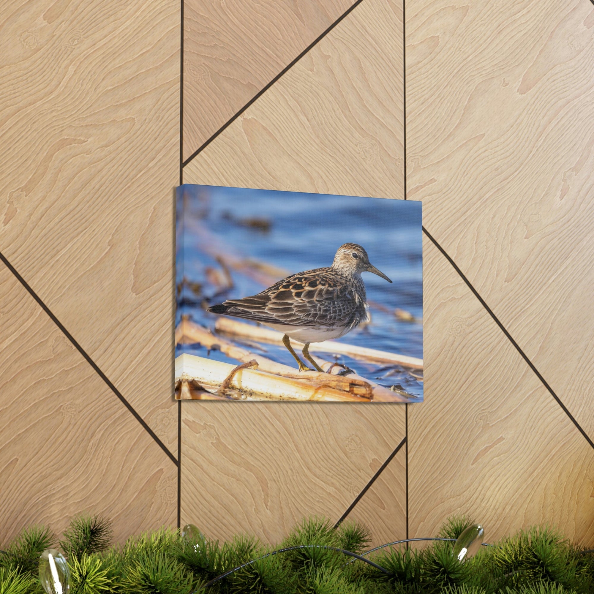 Scripture Walls Majestic Sandpiper at the Edge of a Pond Print Animal Wall Art Wildlife Canvas Prints Wall Art Ready to Hang Unframed-Express Your Love Gifts