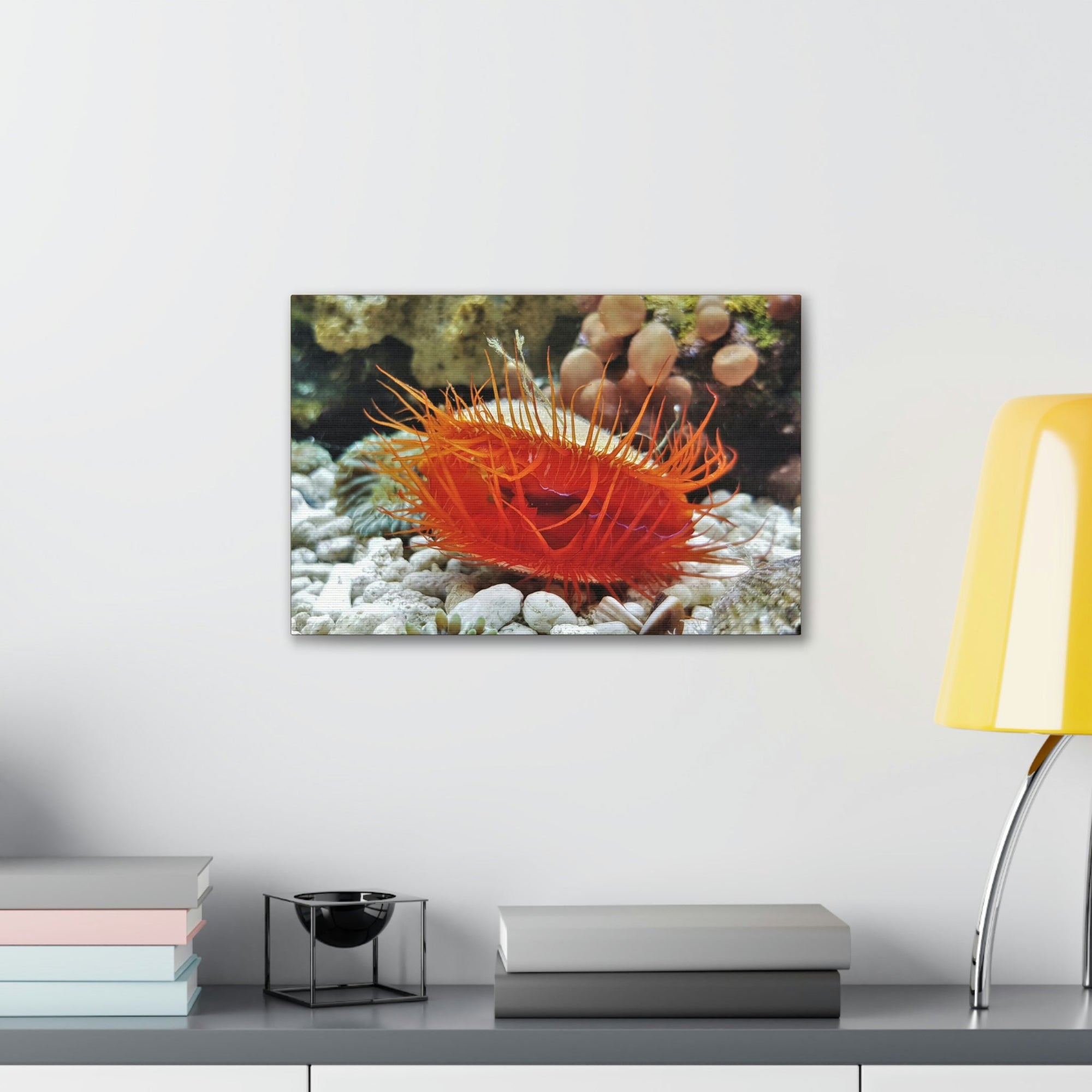 Scripture Walls Majestic Scallop Art Majestic Scallop Print Animal Wall Art Wildlife Canvas Prints Wall Art Ready to Hang Unframed-Express Your Love Gifts