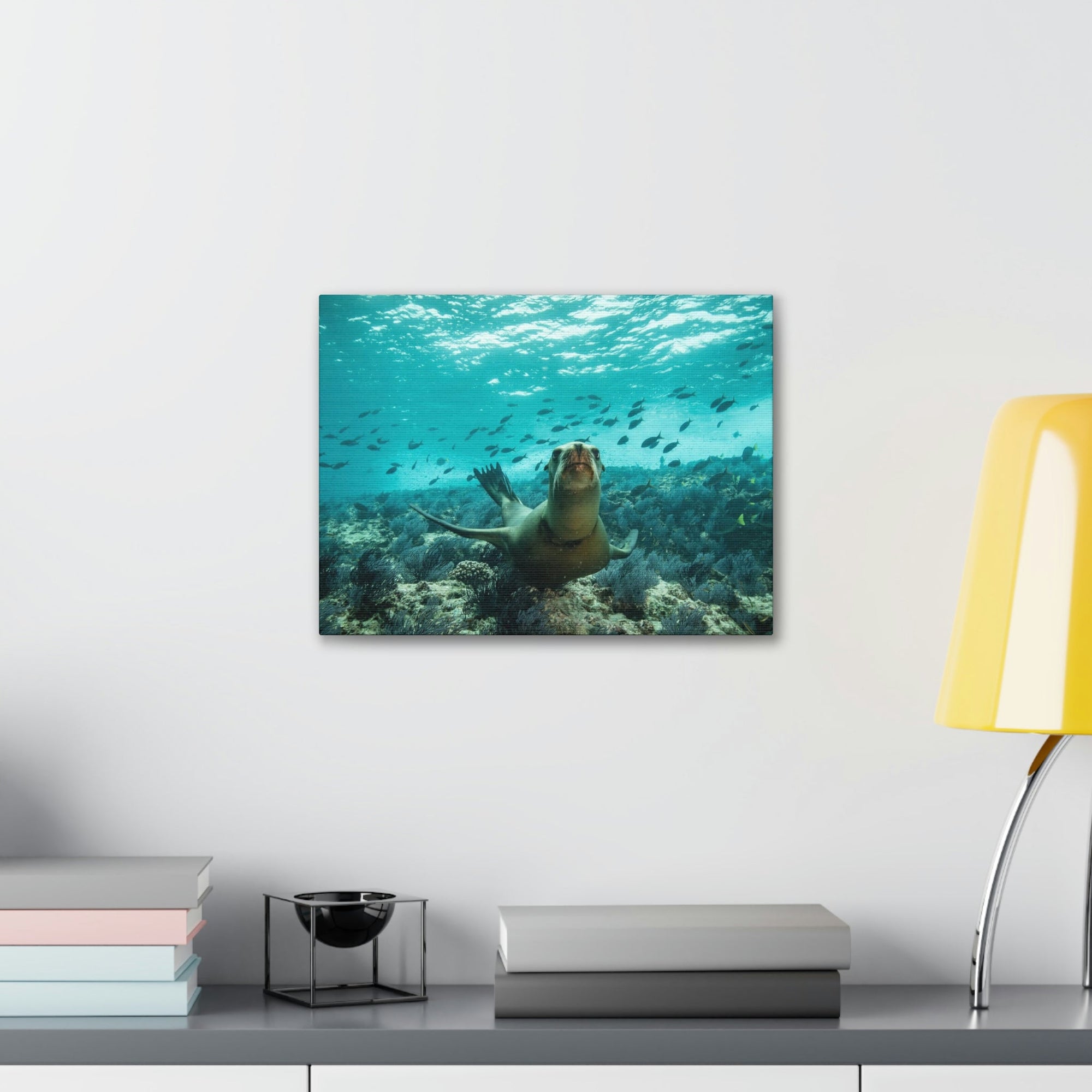 Scripture Walls Majestic Sea Lion Art Majestic Sea Lion Print Animal Wall Art Wildlife Canvas Prints Wall Art Ready to Hang Unframed-Express Your Love Gifts