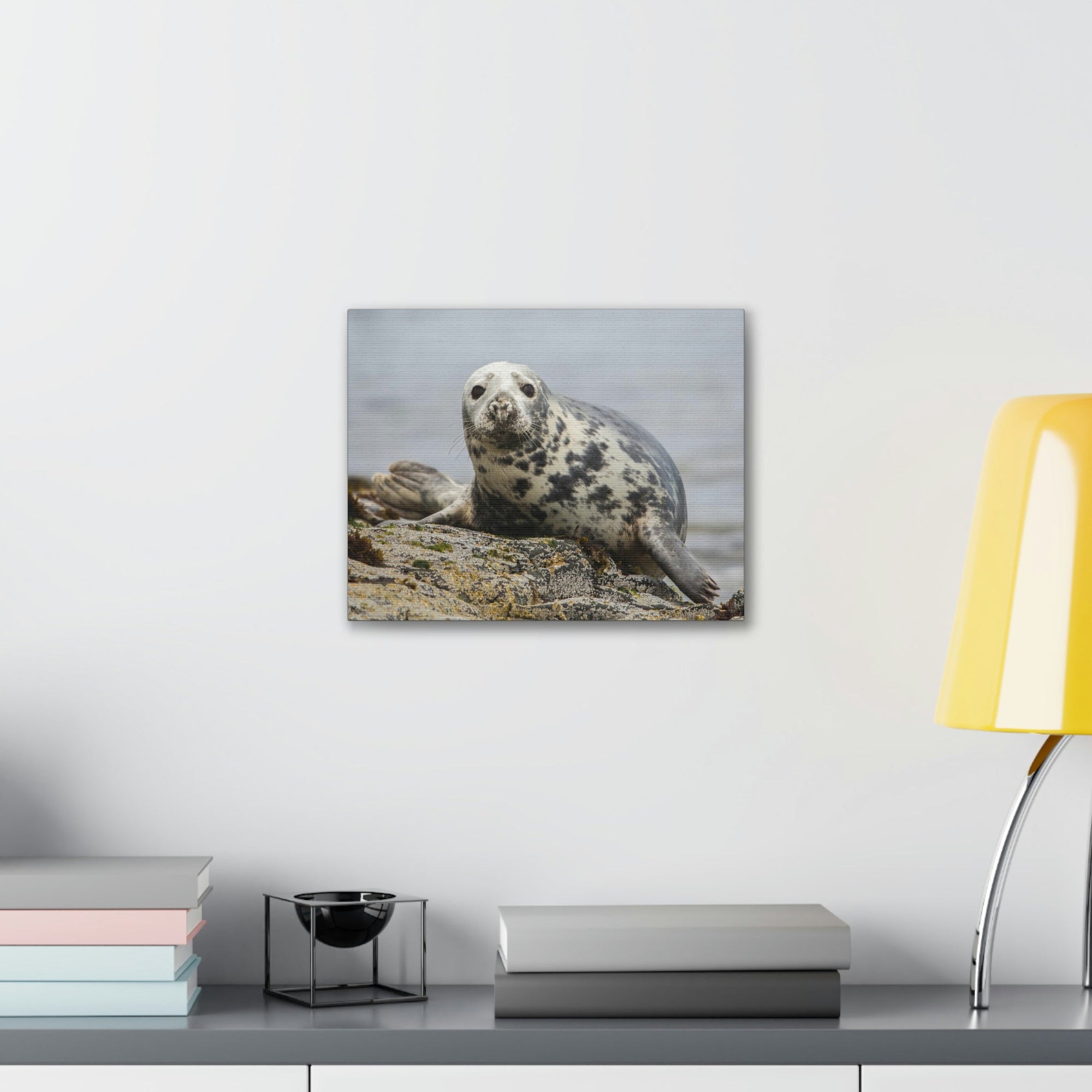 Scripture Walls Majestic Seal Art Majestic Seal Print Animal Wall Art Wildlife Canvas Prints Wall Art Ready to Hang Unframed-Express Your Love Gifts