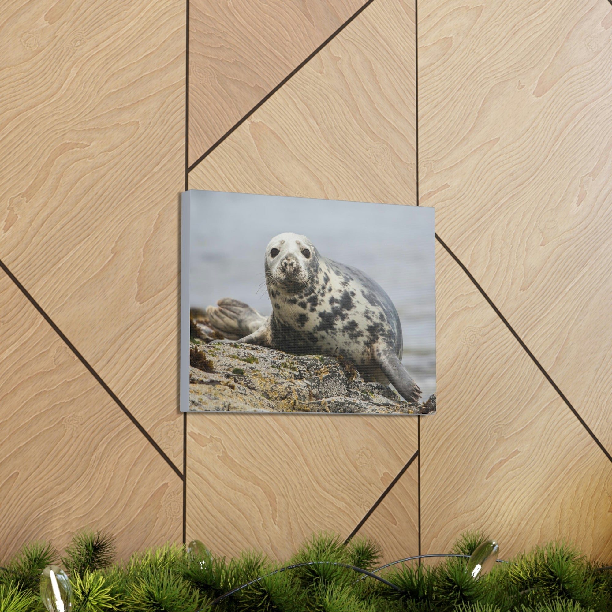 Scripture Walls Majestic Seal Art Majestic Seal Print Animal Wall Art Wildlife Canvas Prints Wall Art Ready to Hang Unframed-Express Your Love Gifts