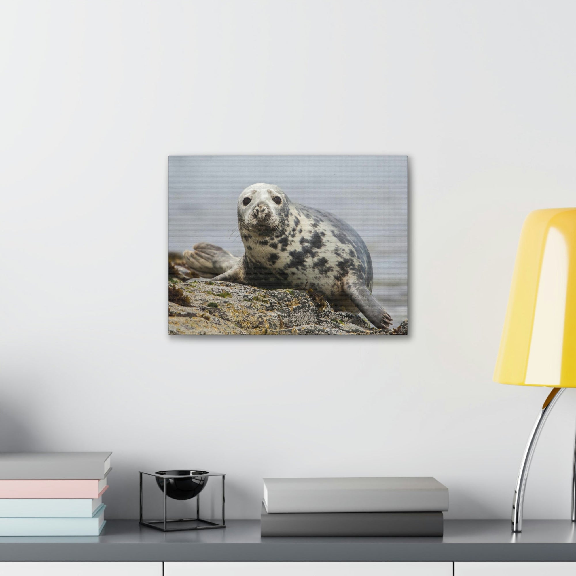 Scripture Walls Majestic Seal Art Majestic Seal Print Animal Wall Art Wildlife Canvas Prints Wall Art Ready to Hang Unframed-Express Your Love Gifts