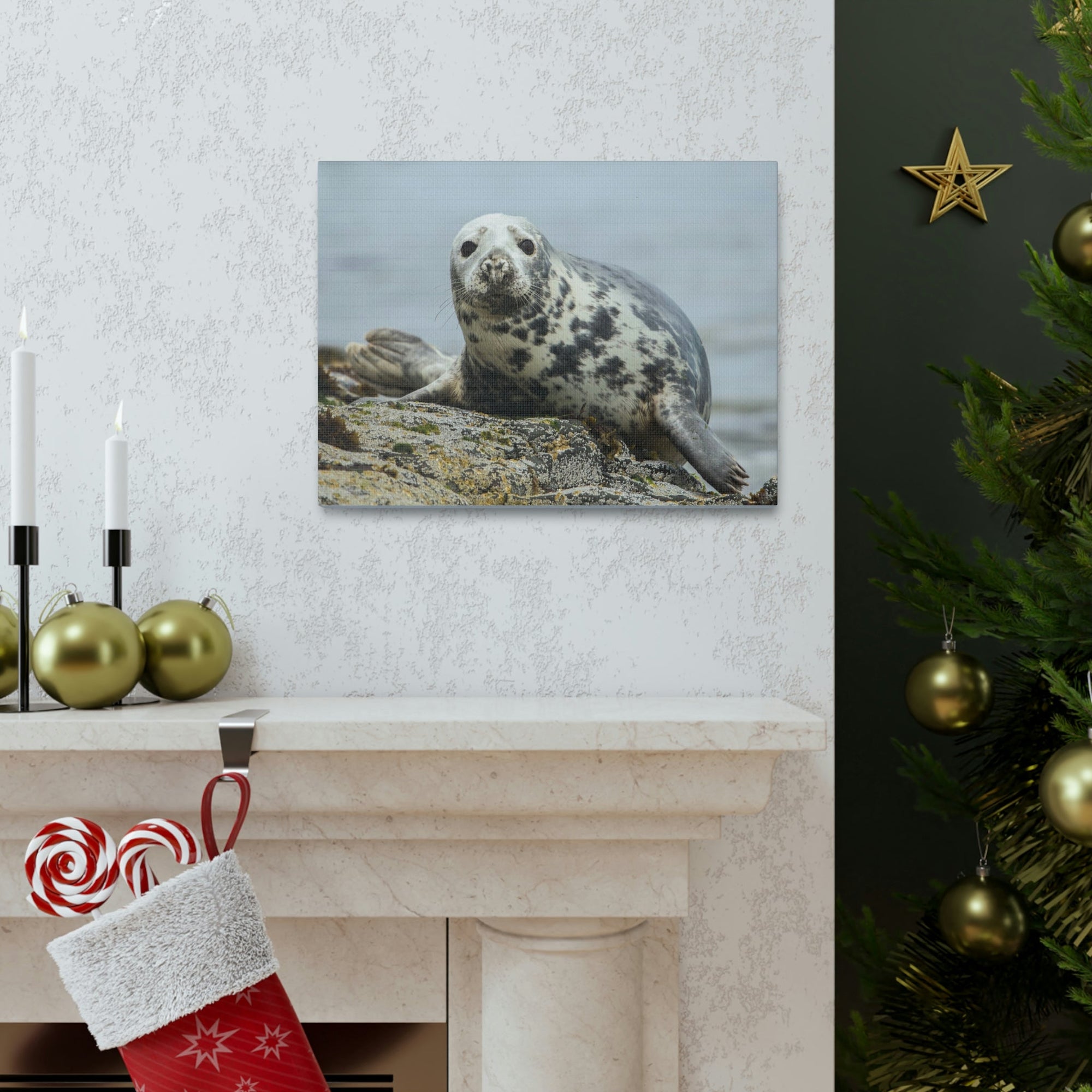 Scripture Walls Majestic Seal Art Majestic Seal Print Animal Wall Art Wildlife Canvas Prints Wall Art Ready to Hang Unframed-Express Your Love Gifts