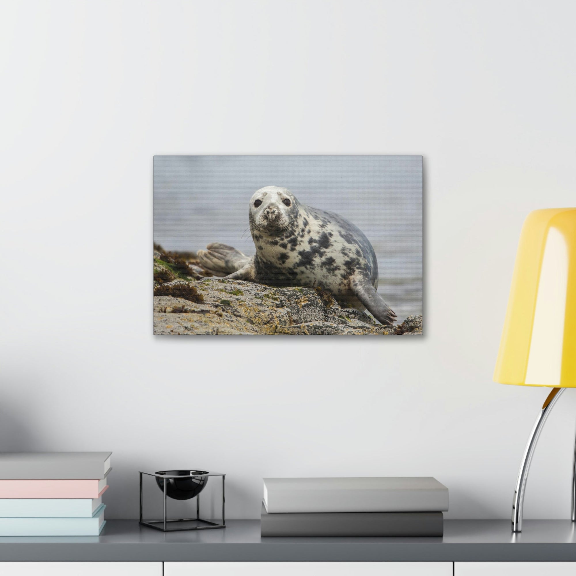 Scripture Walls Majestic Seal Art Majestic Seal Print Animal Wall Art Wildlife Canvas Prints Wall Art Ready to Hang Unframed-Express Your Love Gifts