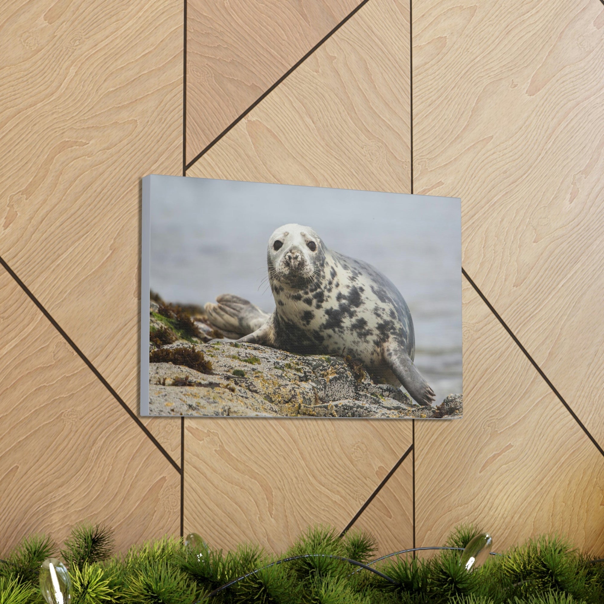 Scripture Walls Majestic Seal Art Majestic Seal Print Animal Wall Art Wildlife Canvas Prints Wall Art Ready to Hang Unframed-Express Your Love Gifts