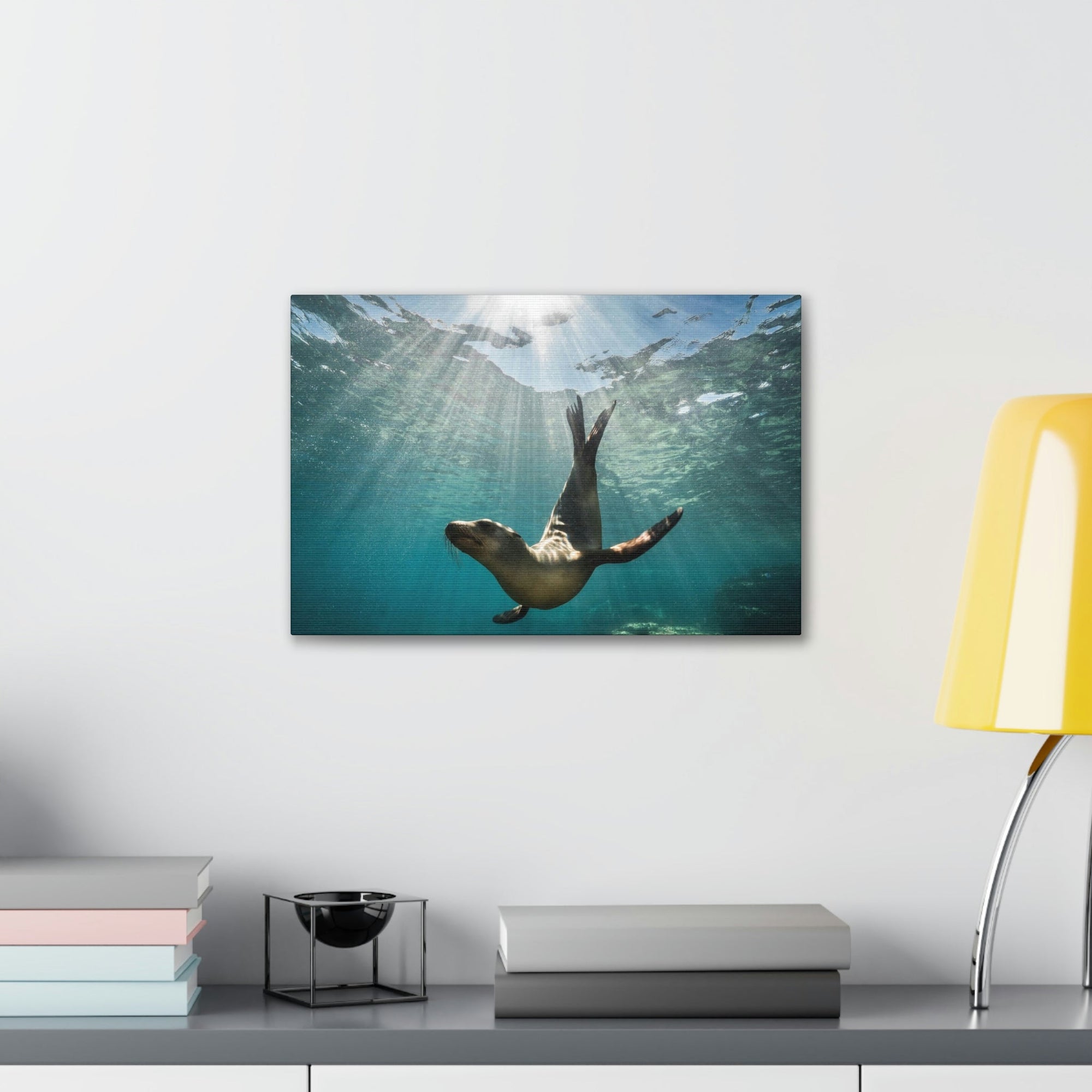 Scripture Walls Majestic Seal Enjoying the Rays of the Sun Print Animal Wall Art Wildlife Canvas Prints Wall Art Ready to Hang Unframed-Express Your Love Gifts