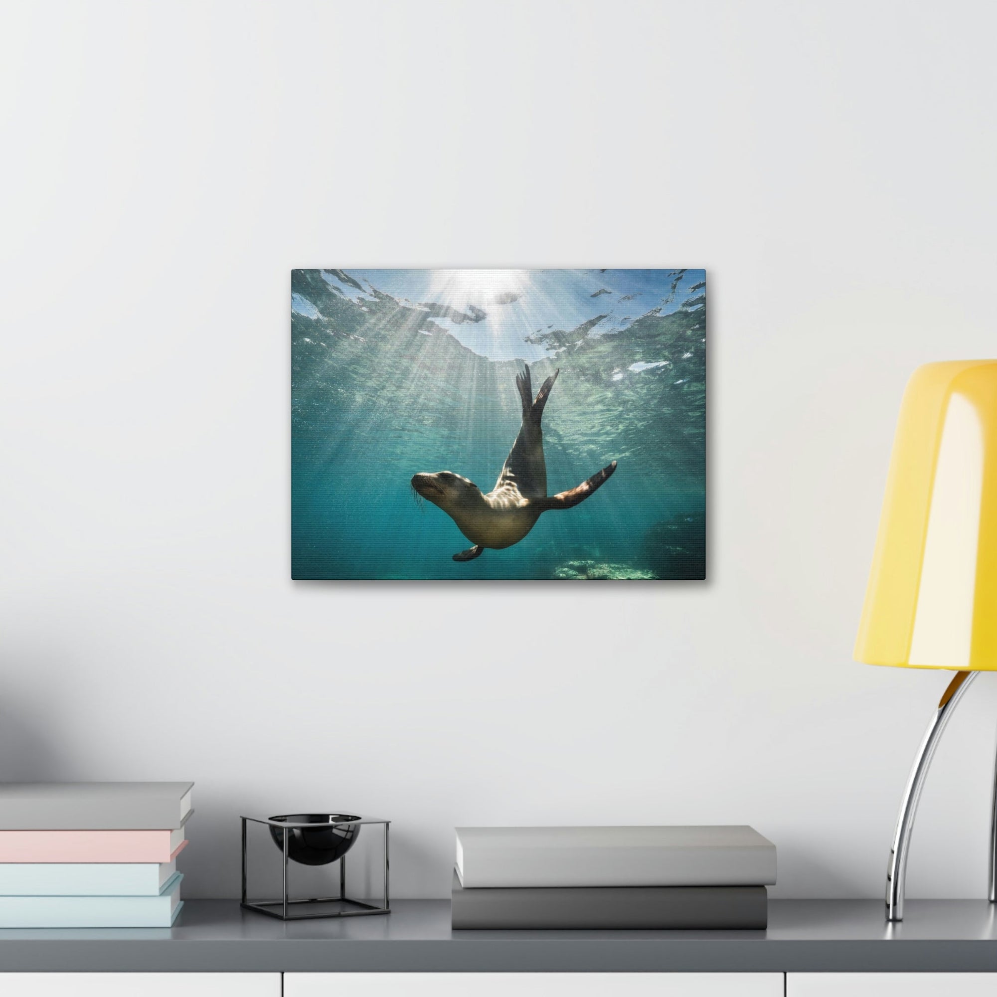 Scripture Walls Majestic Seal Enjoying the Rays of the Sun Print Animal Wall Art Wildlife Canvas Prints Wall Art Ready to Hang Unframed-Express Your Love Gifts