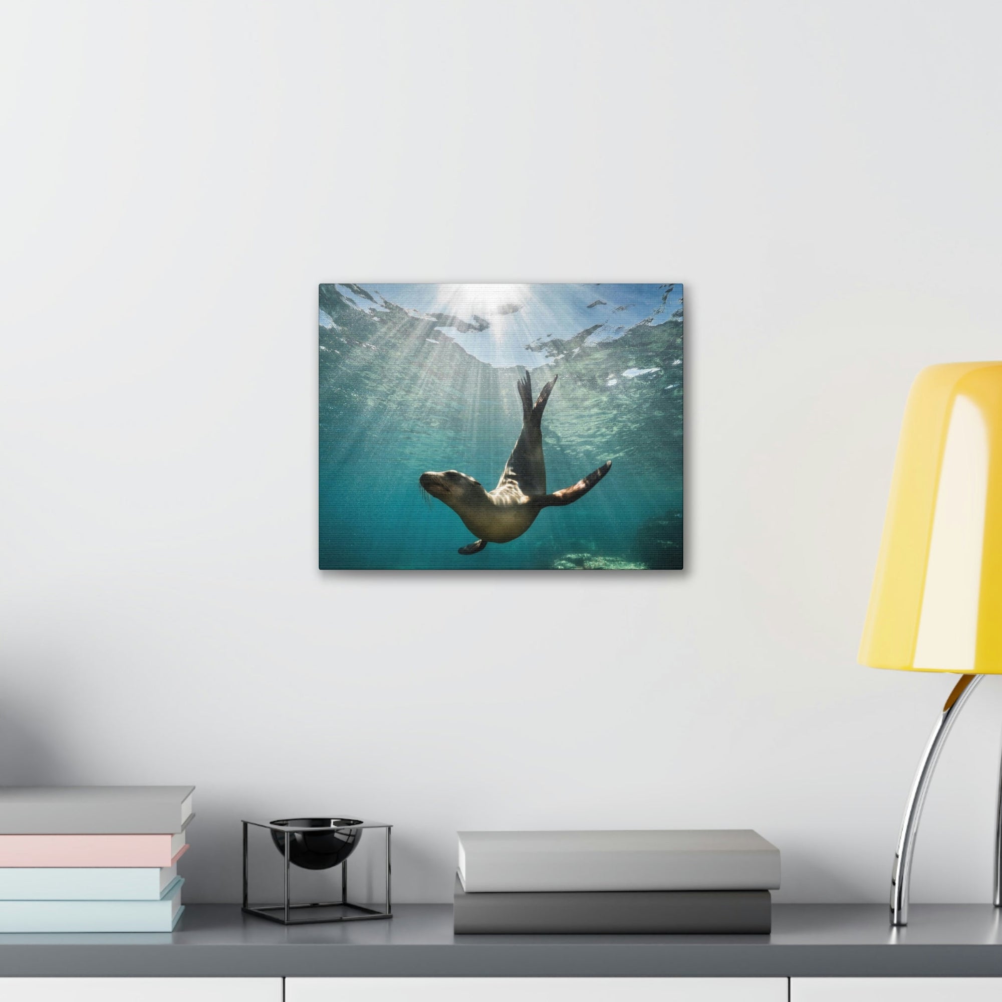 Scripture Walls Majestic Seal Enjoying the Rays of the Sun Print Animal Wall Art Wildlife Canvas Prints Wall Art Ready to Hang Unframed-Express Your Love Gifts