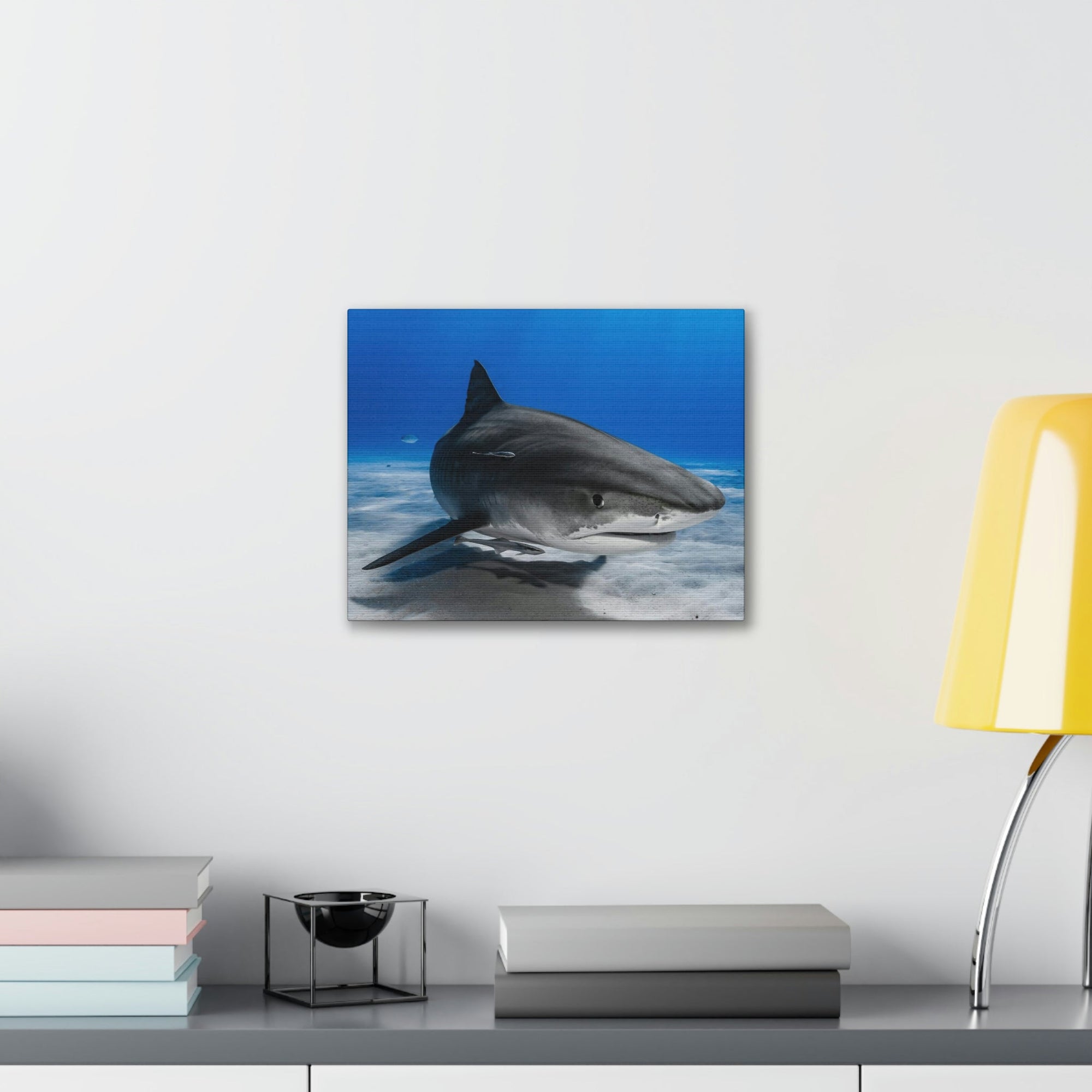 Scripture Walls Majestic Shark Art Majestic Shark Print Animal Wall Art Wildlife Canvas Prints Wall Art Ready to Hang Unframed-Express Your Love Gifts