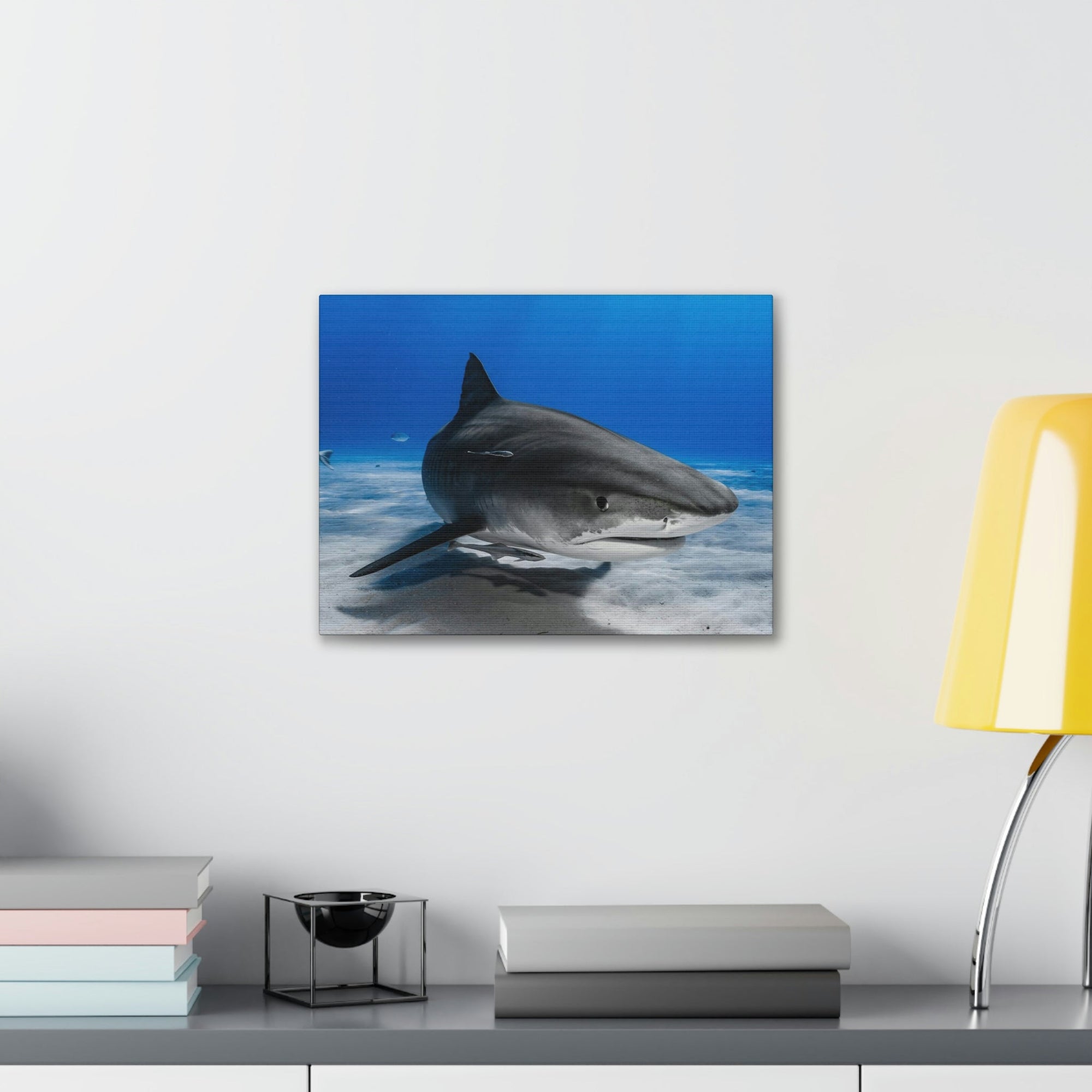 Scripture Walls Majestic Shark Art Majestic Shark Print Animal Wall Art Wildlife Canvas Prints Wall Art Ready to Hang Unframed-Express Your Love Gifts