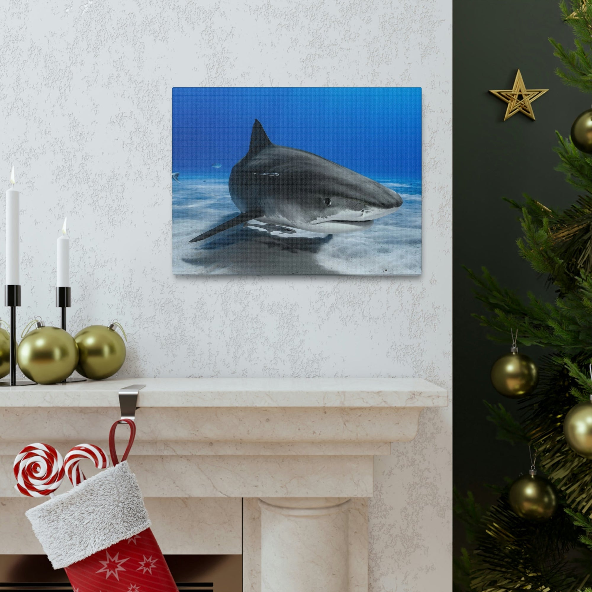 Scripture Walls Majestic Shark Art Majestic Shark Print Animal Wall Art Wildlife Canvas Prints Wall Art Ready to Hang Unframed-Express Your Love Gifts