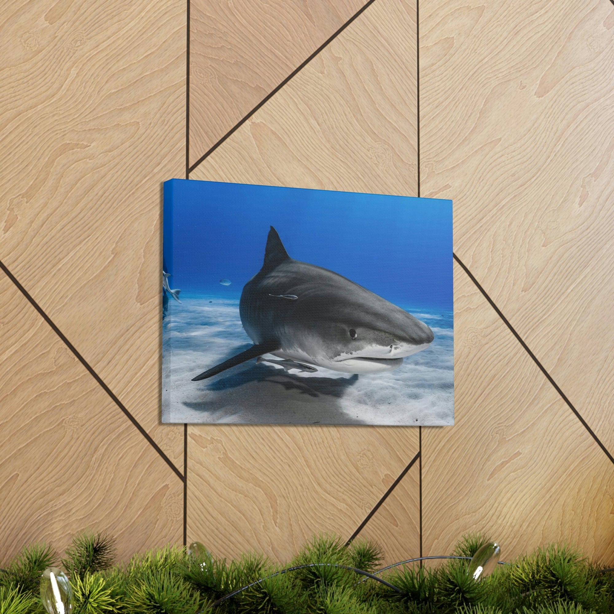 Scripture Walls Majestic Shark Art Majestic Shark Print Animal Wall Art Wildlife Canvas Prints Wall Art Ready to Hang Unframed-Express Your Love Gifts