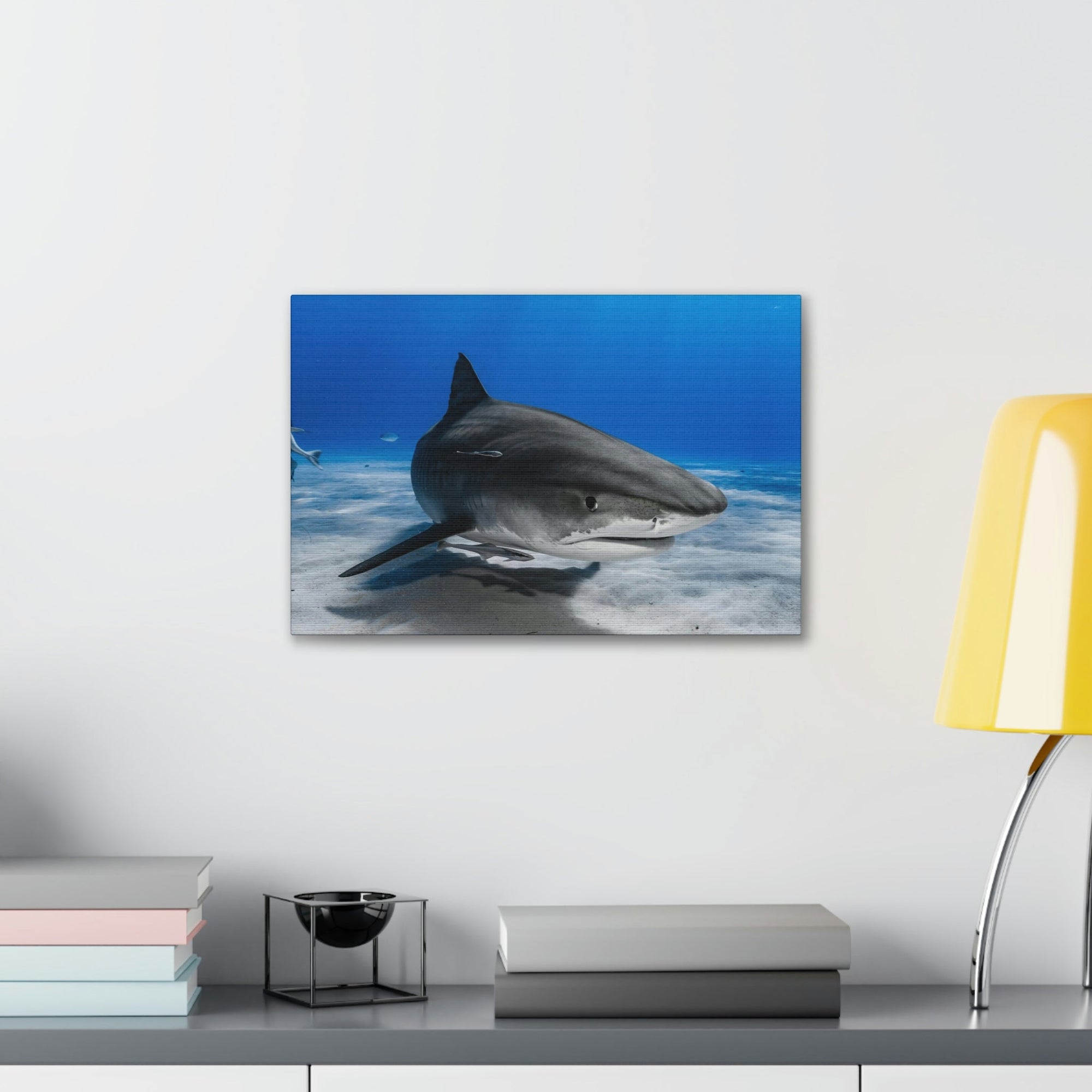 Scripture Walls Majestic Shark Art Majestic Shark Print Animal Wall Art Wildlife Canvas Prints Wall Art Ready to Hang Unframed-Express Your Love Gifts