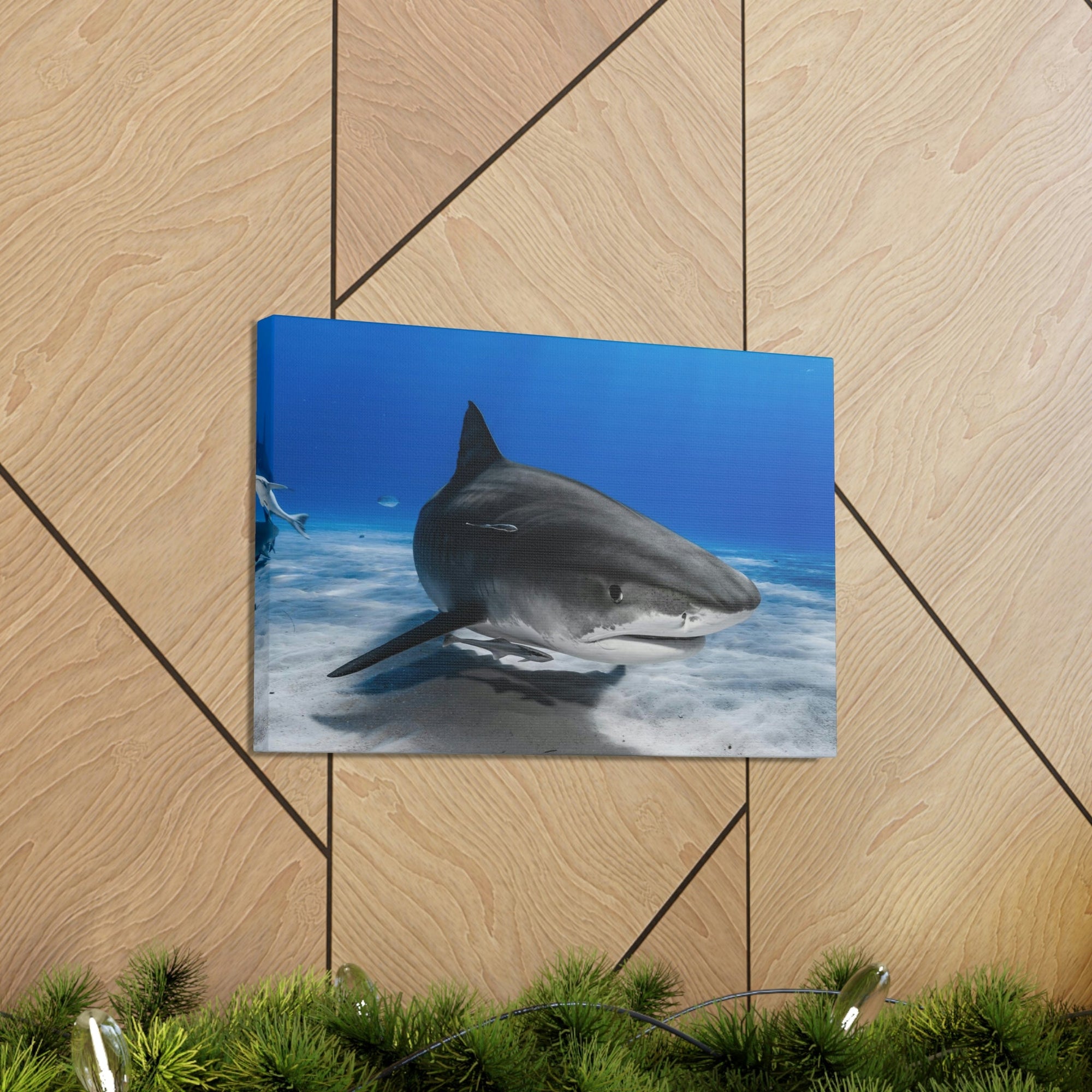 Scripture Walls Majestic Shark Art Majestic Shark Print Animal Wall Art Wildlife Canvas Prints Wall Art Ready to Hang Unframed-Express Your Love Gifts