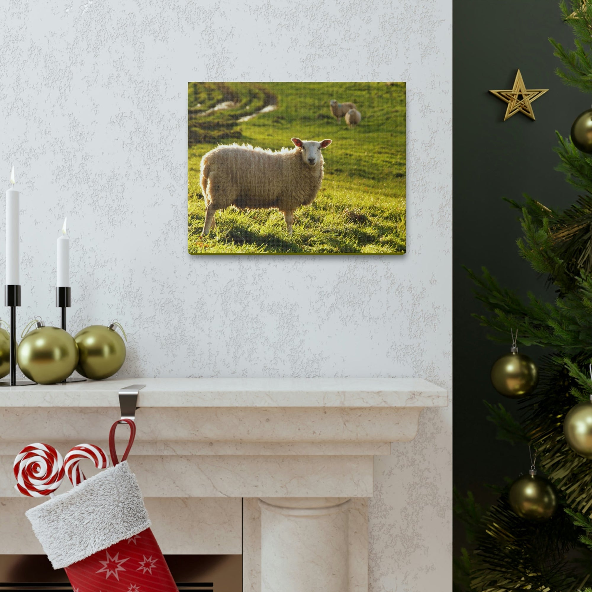 Scripture Walls Majestic Sheep Art Majestic Sheep Print Animal Wall Art Wildlife Canvas Prints Wall Art Ready to Hang Unframed-Express Your Love Gifts