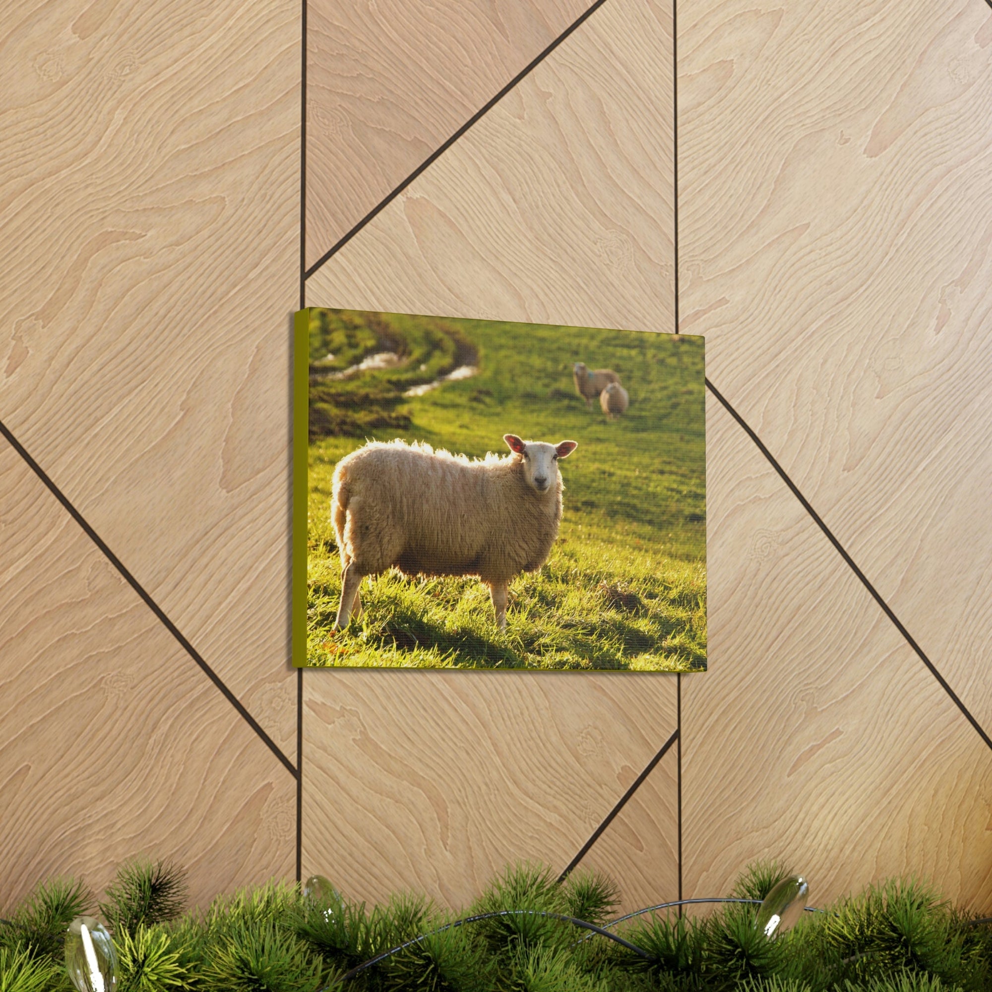 Scripture Walls Majestic Sheep Art Majestic Sheep Print Animal Wall Art Wildlife Canvas Prints Wall Art Ready to Hang Unframed-Express Your Love Gifts