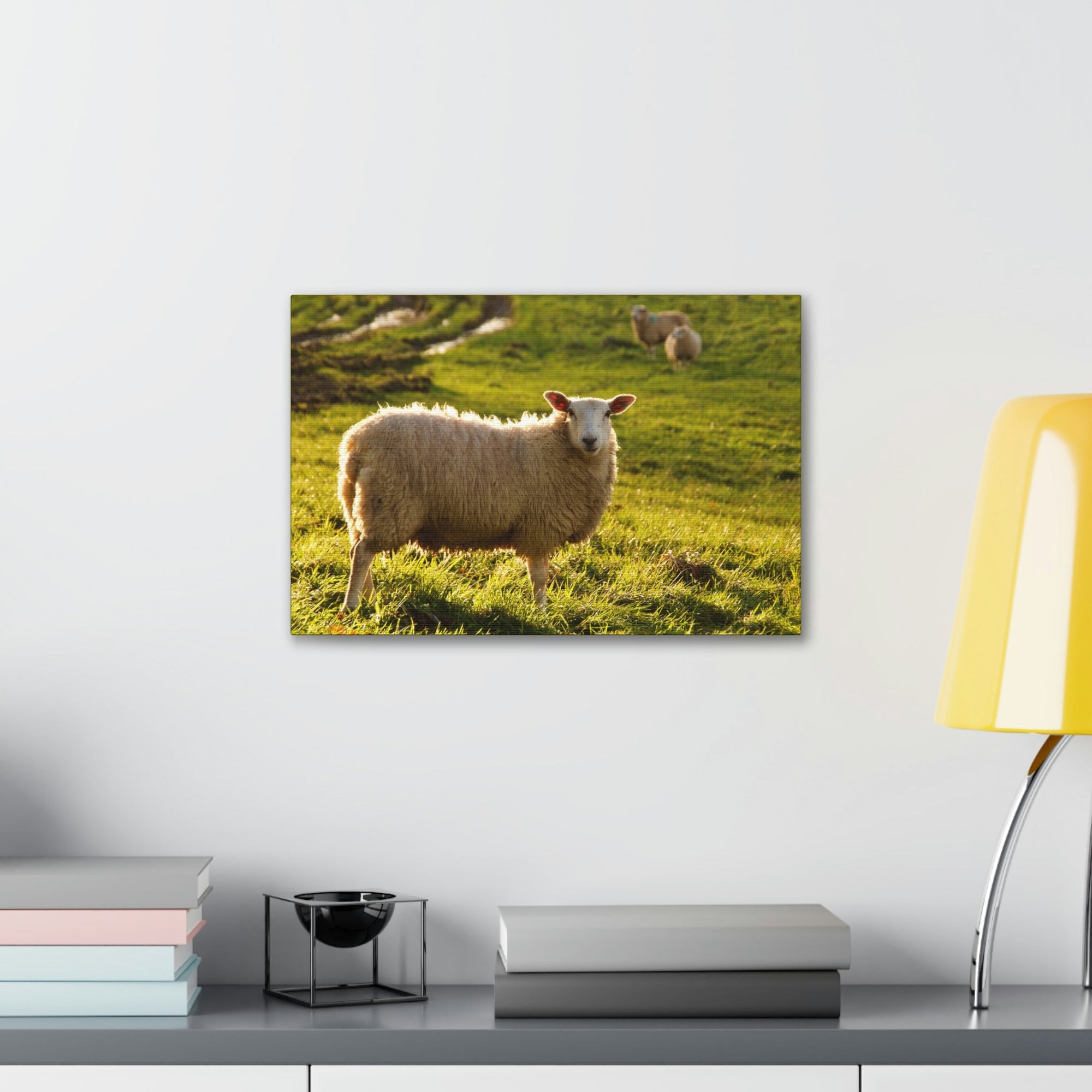 Scripture Walls Majestic Sheep Art Majestic Sheep Print Animal Wall Art Wildlife Canvas Prints Wall Art Ready to Hang Unframed-Express Your Love Gifts