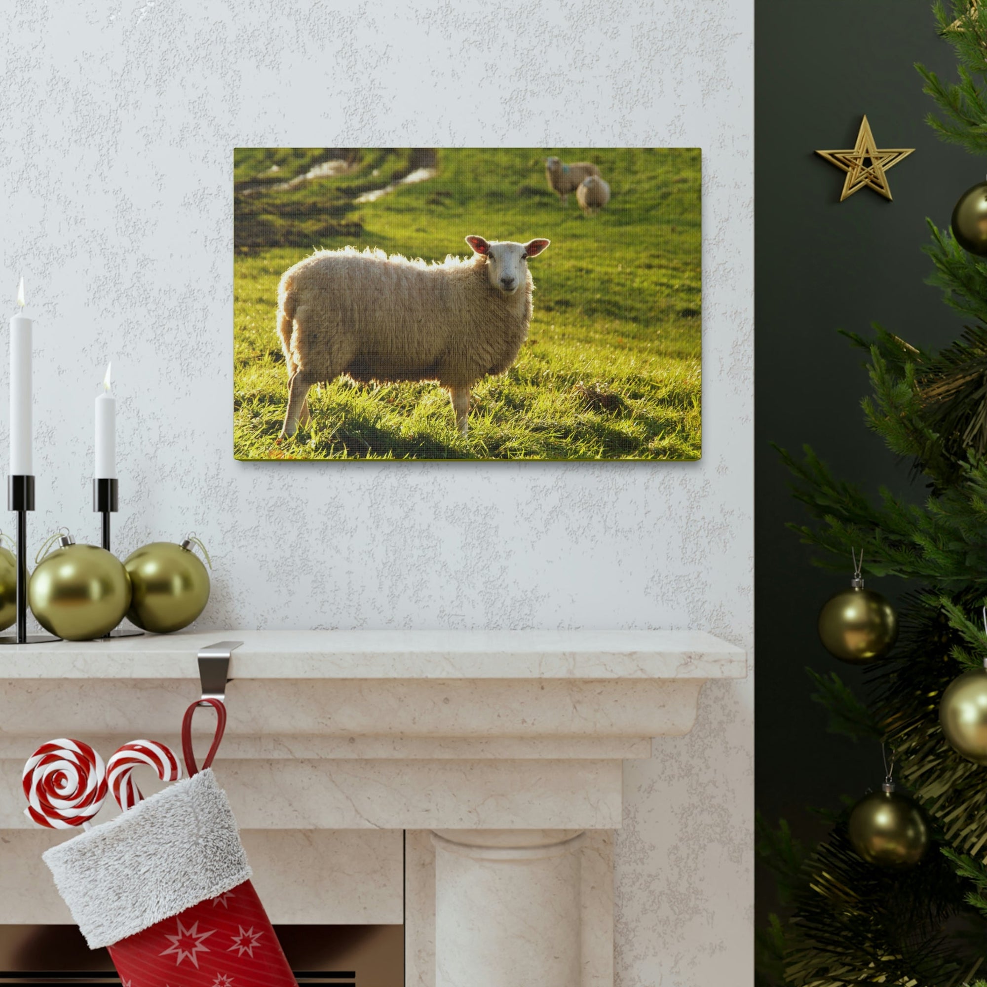 Scripture Walls Majestic Sheep Art Majestic Sheep Print Animal Wall Art Wildlife Canvas Prints Wall Art Ready to Hang Unframed-Express Your Love Gifts