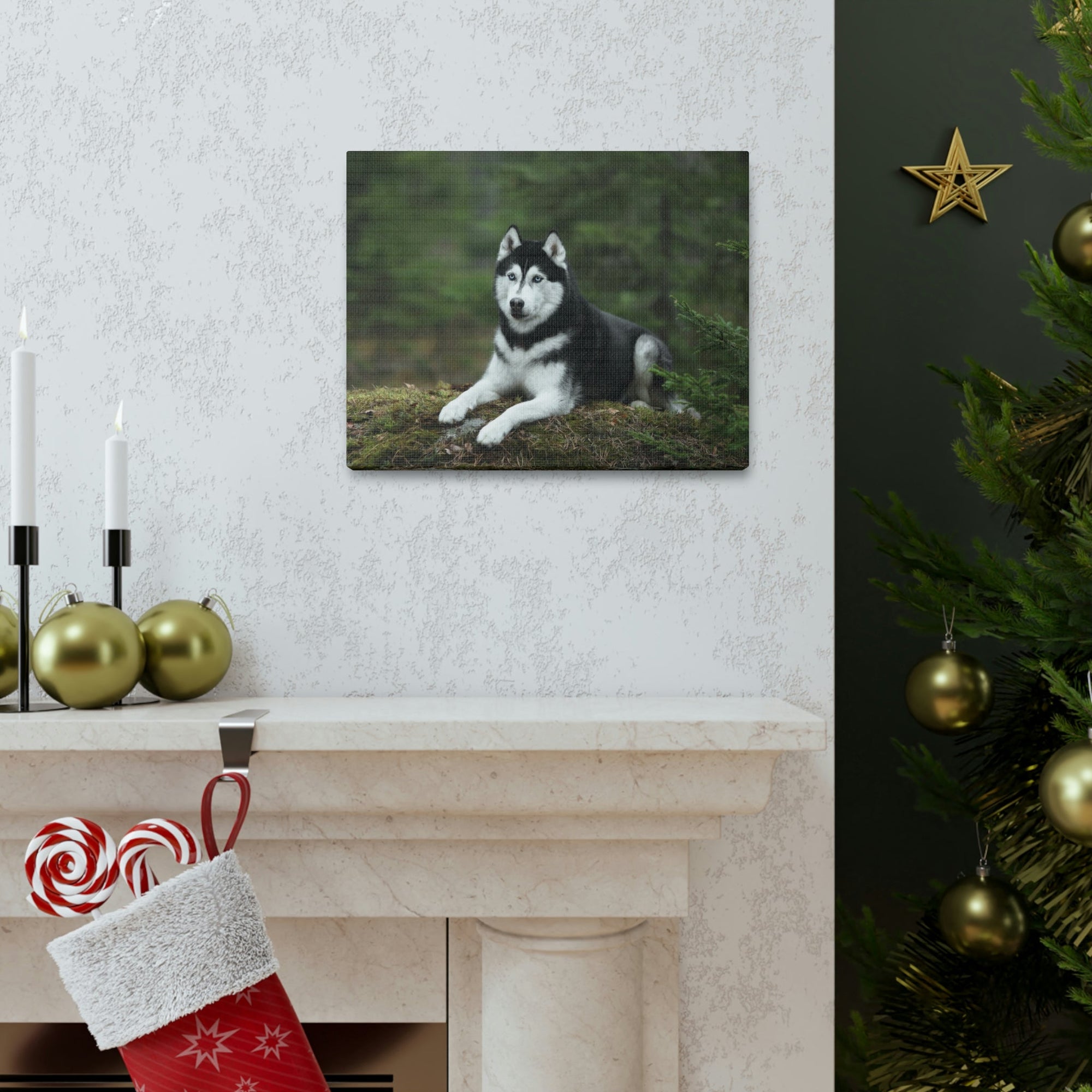 Scripture Walls Majestic Siberian Husky Art Majestic Siberian Husky Print Animal Wall Art Wildlife Canvas Prints Wall Art Ready to Hang Unframed-Express Your Love Gifts