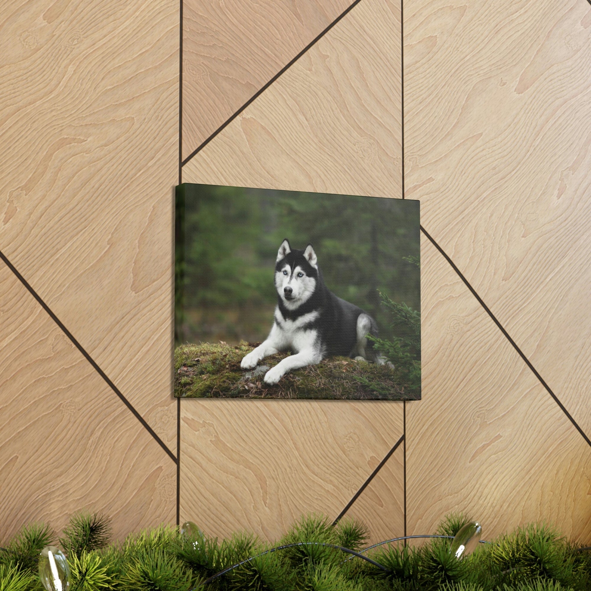 Scripture Walls Majestic Siberian Husky Art Majestic Siberian Husky Print Animal Wall Art Wildlife Canvas Prints Wall Art Ready to Hang Unframed-Express Your Love Gifts