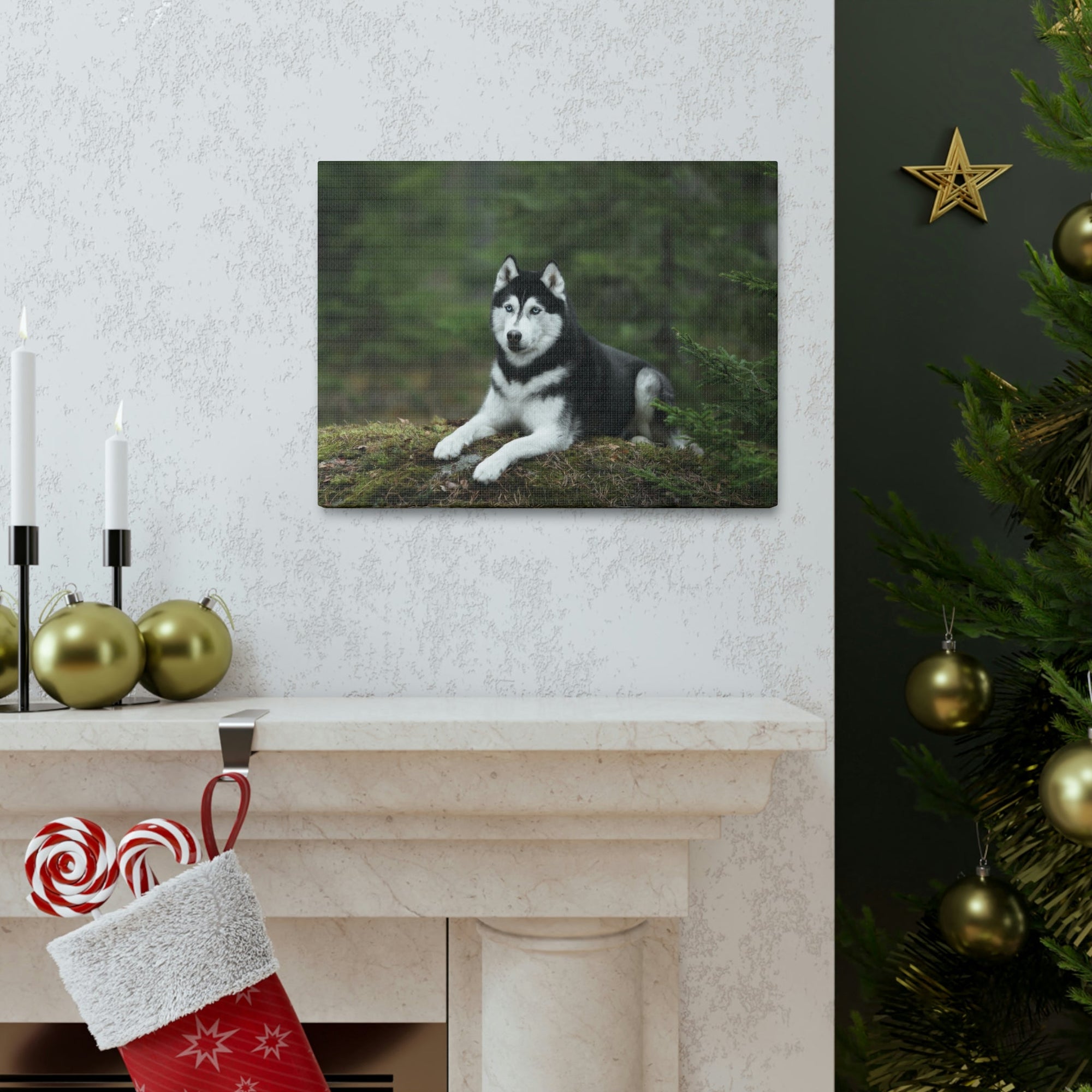 Scripture Walls Majestic Siberian Husky Art Majestic Siberian Husky Print Animal Wall Art Wildlife Canvas Prints Wall Art Ready to Hang Unframed-Express Your Love Gifts